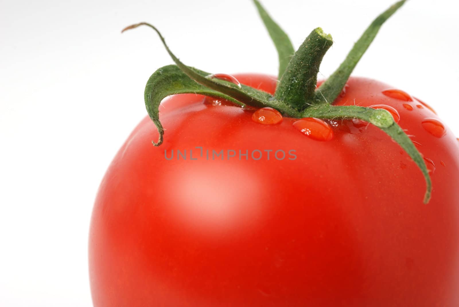 Tomato. A ripe vegetable with drops of dew.
