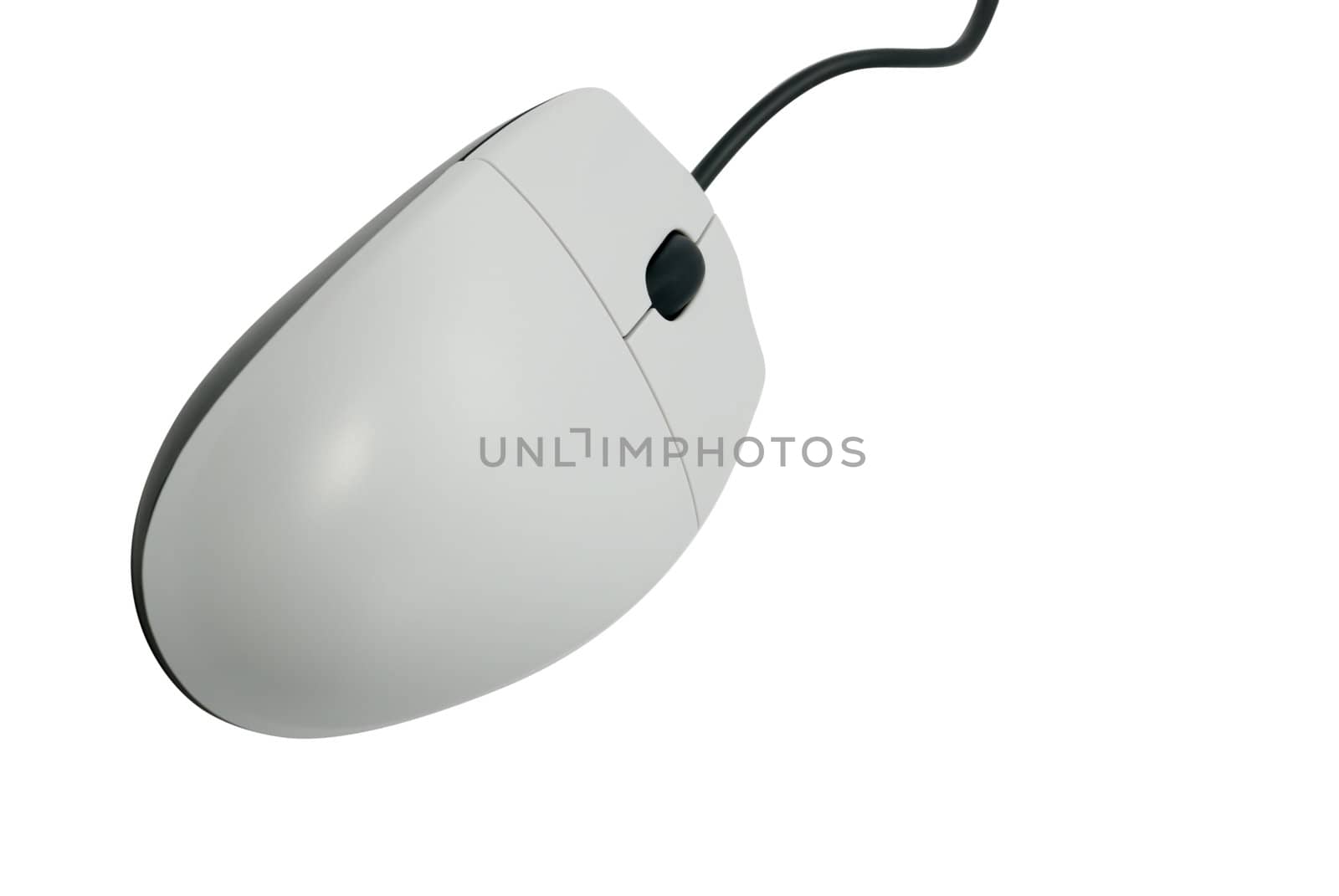 The computer mouse. The manipulator for management of the cursor on a computer