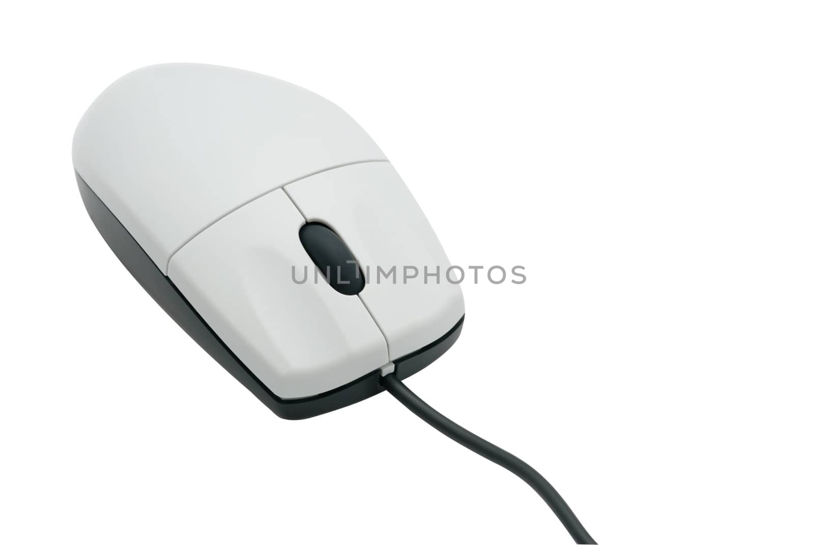 isolated computer mouse by galdzer
