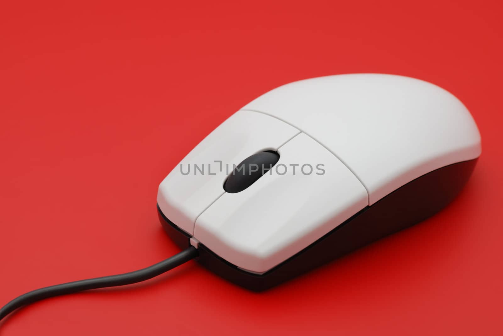 The computer mouse. The manipulator for management of the cursor on a computer