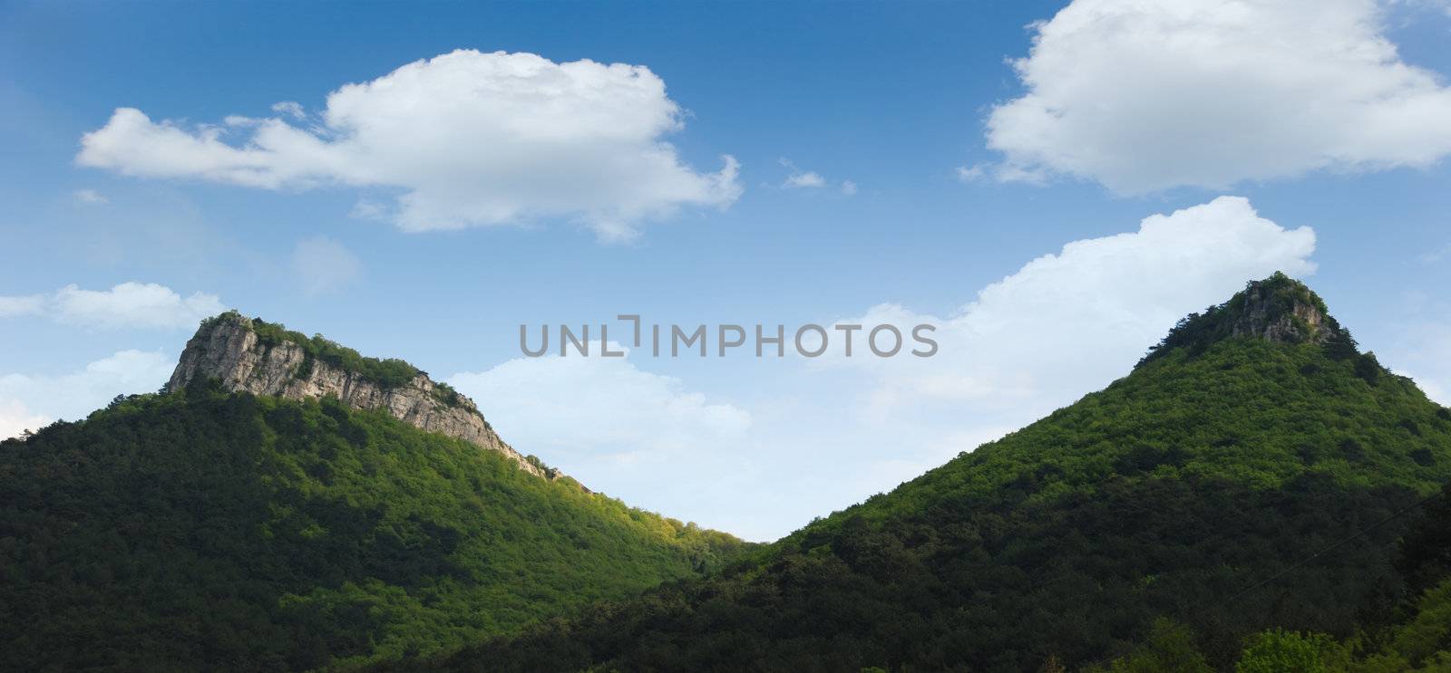 Mountains and forest. Crimean mountains covered dense forest
