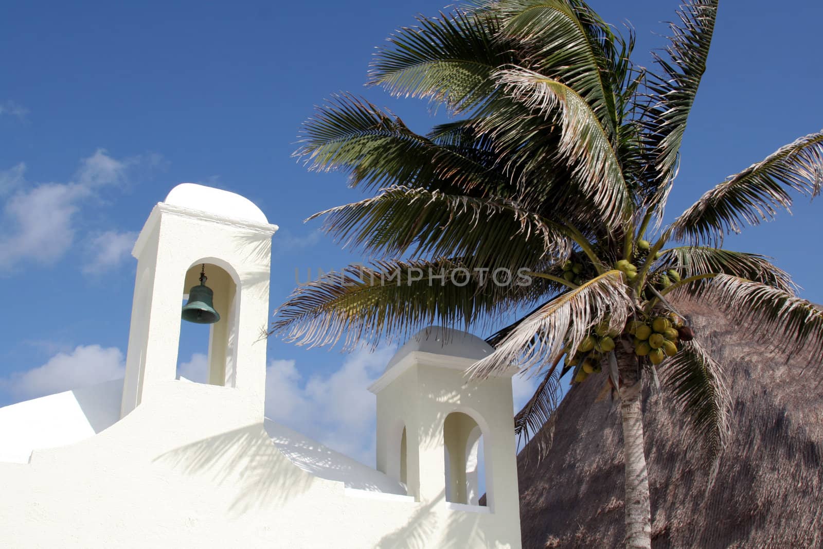 A white chapel and palm tree.