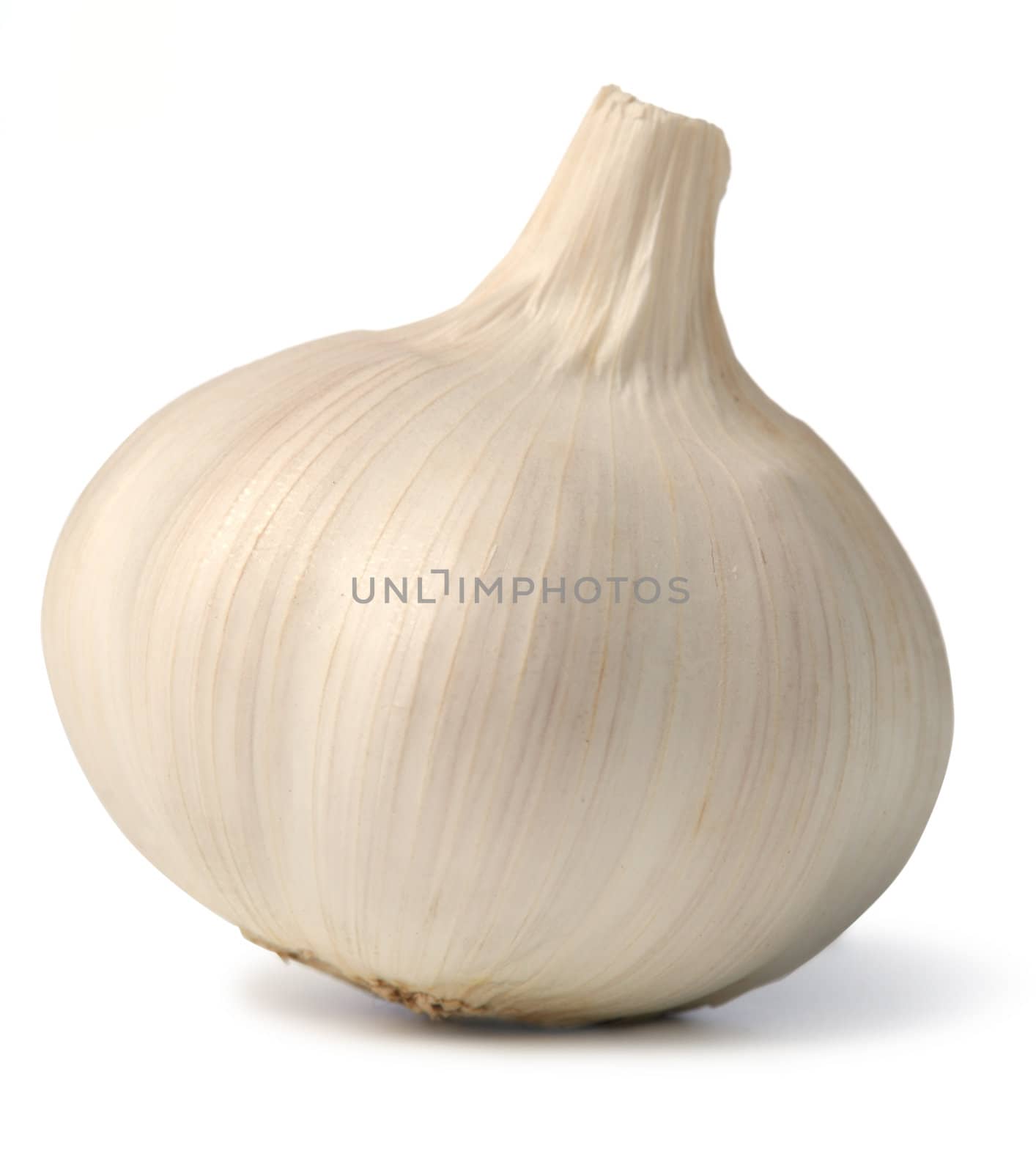 Garlic. A head of garlic isolated on a white background