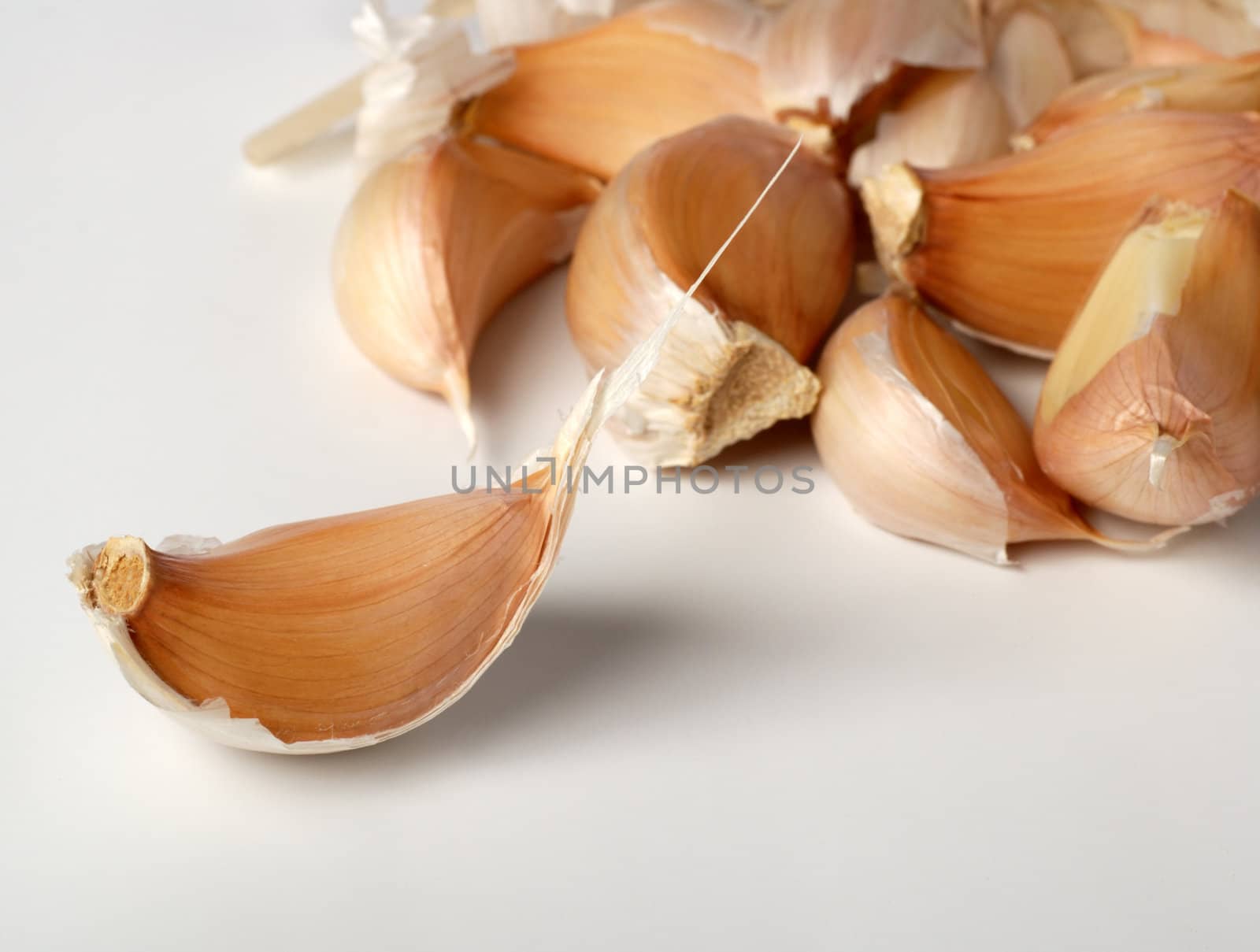 background bulbil garlic. A head of garlic isolated on a white background