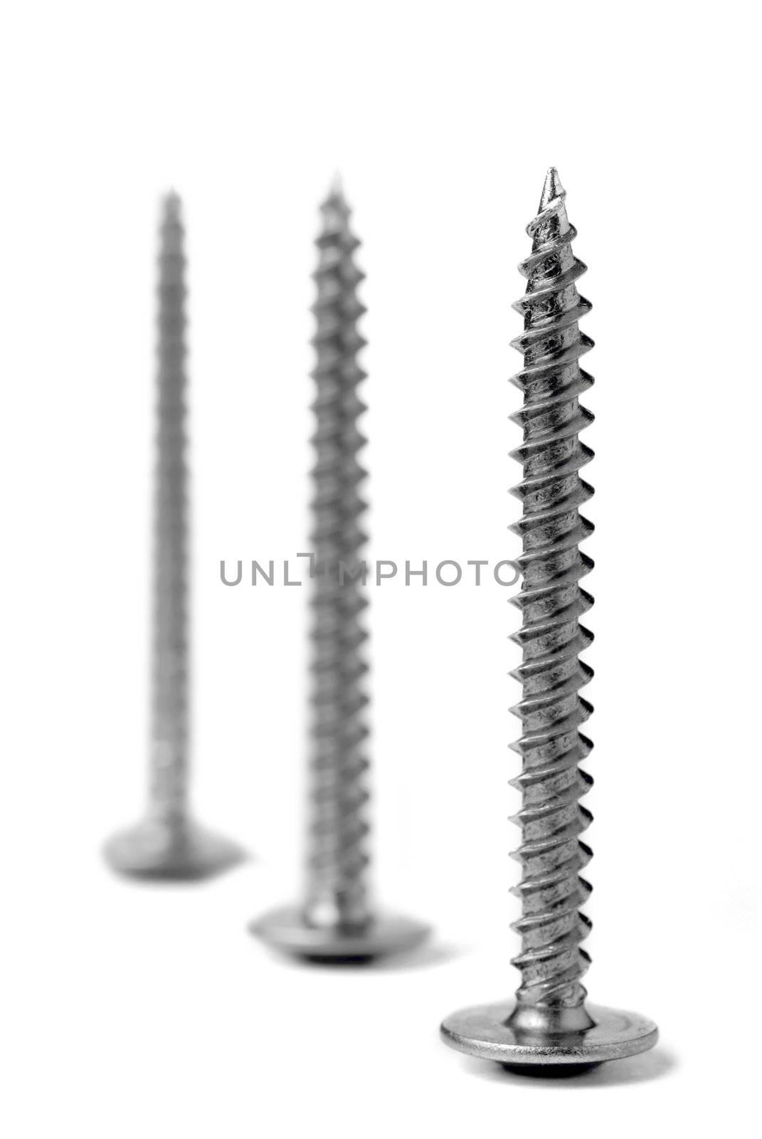 Screw. A set of screws isolated on a white background