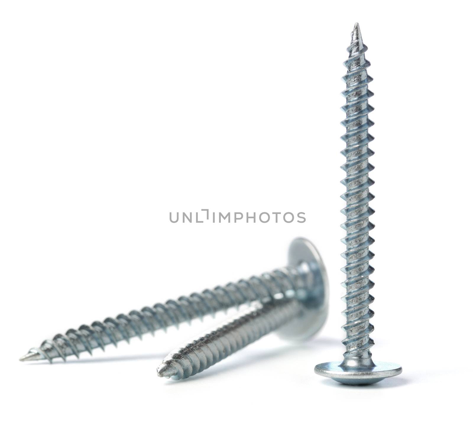 Screw. A set of screws isolated on a white background