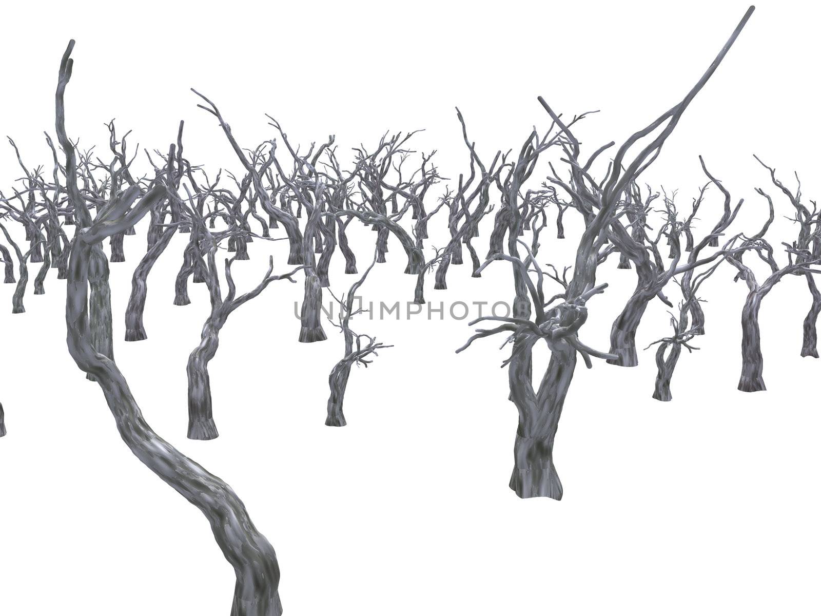 The dry died out forest  (consequence of badly ecology) - completely isolated on a white background