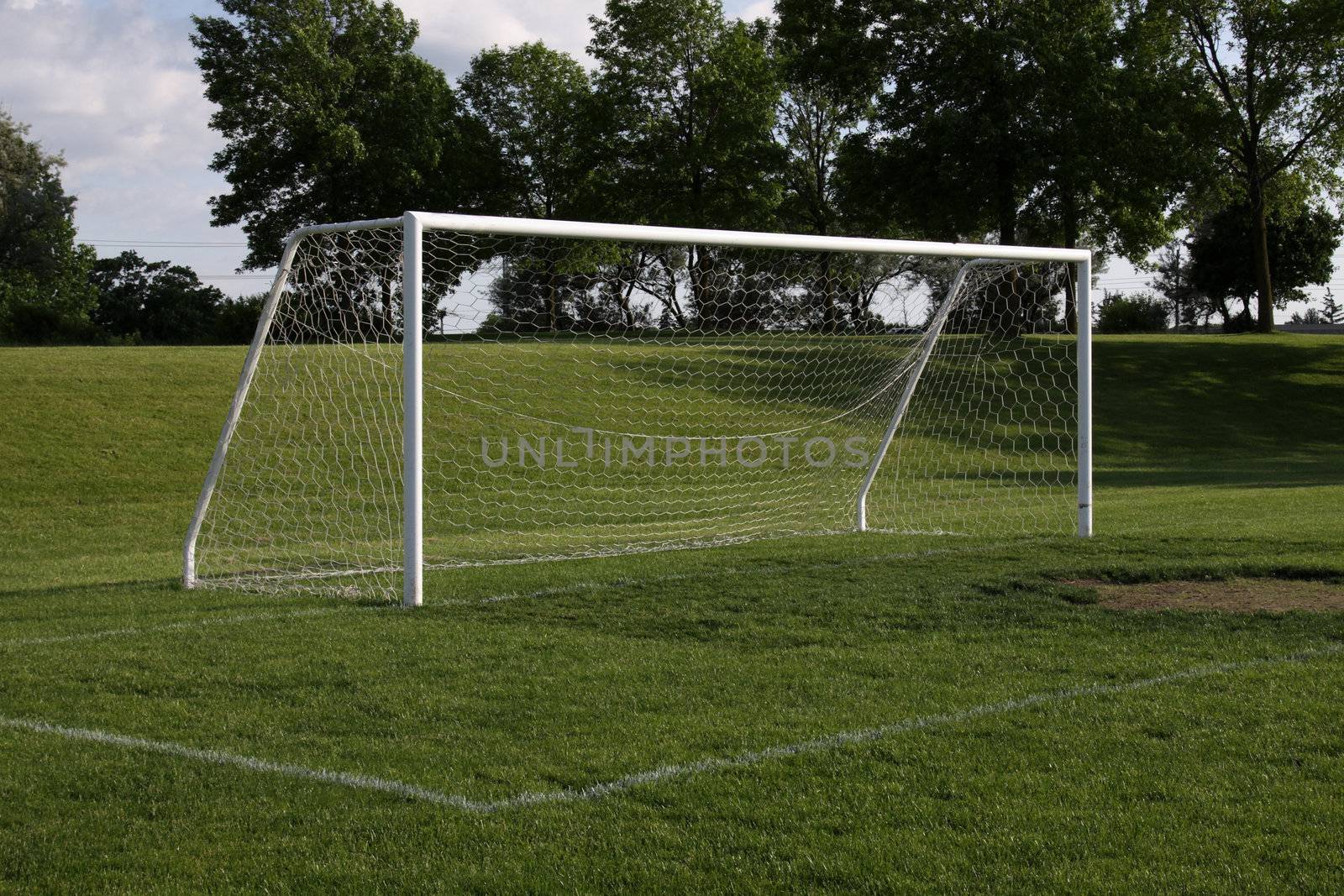 A view of a net on a vacant soccer pitch.
