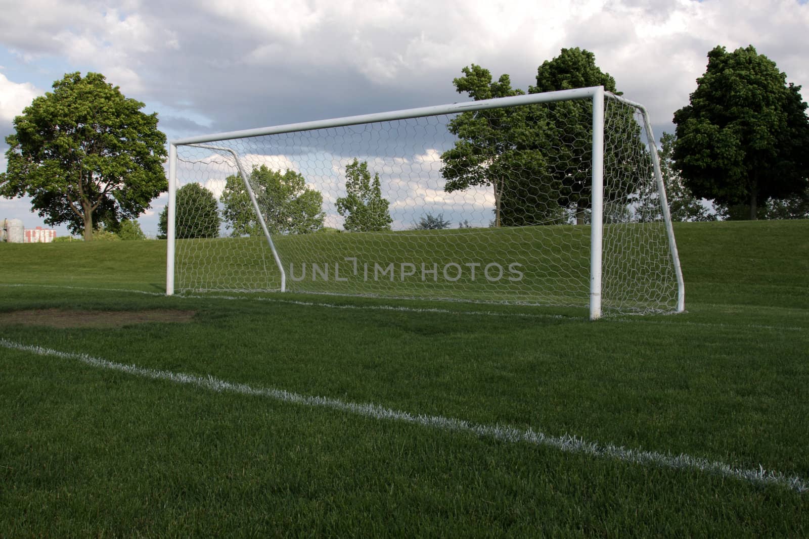 Soccer Net from Low View
 by ca2hill