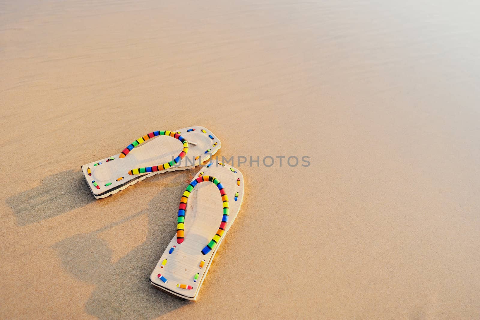 Beach sandals on the sandy sea coast