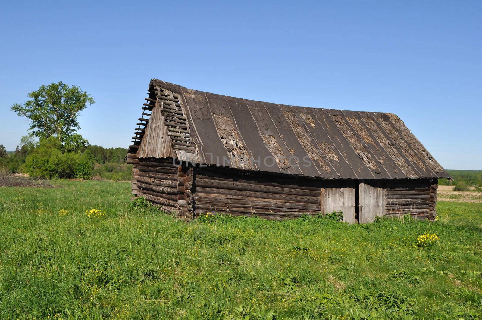 Country landscape with old wooden barn