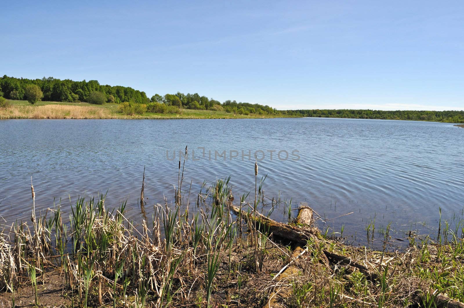 Country landscape with a lake, Russia