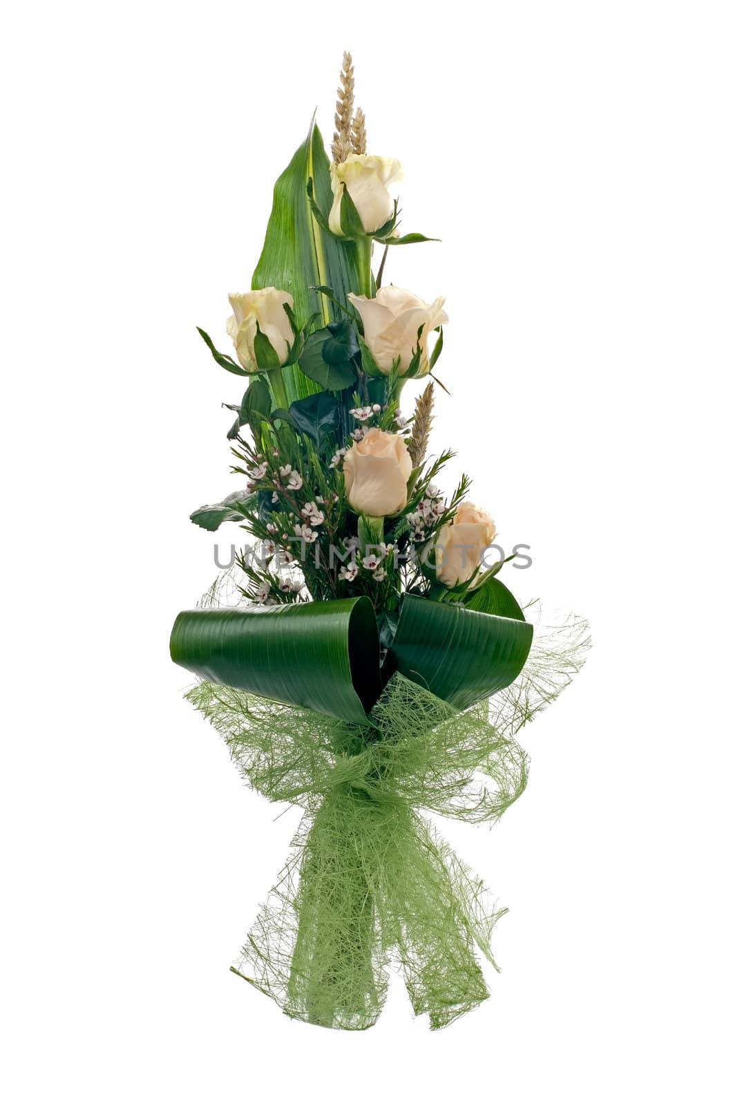 Pale yellow rose bouquet isolated on white background.