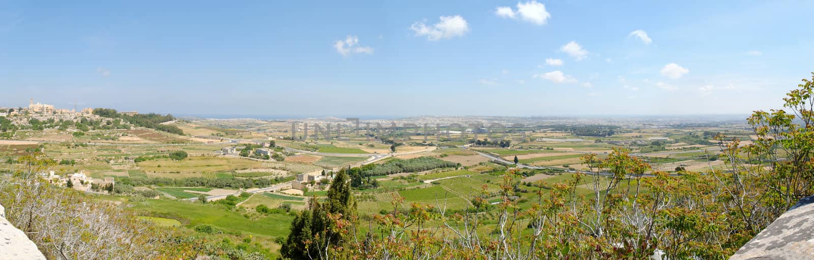 150 degree panorama of Maltese countryside with foreground vegetation. Stitched from 7 individual images shot at 18mm. The image is taken from Mdina.
