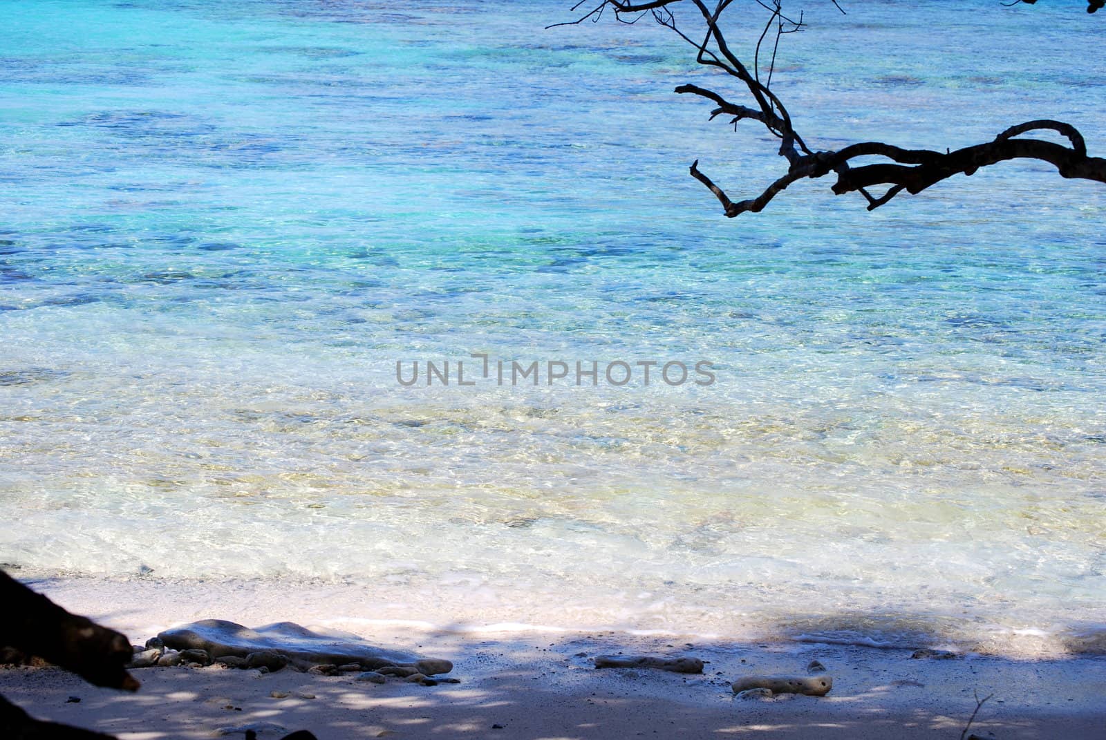 A beach hideaway with white sands and crystal blue waters.