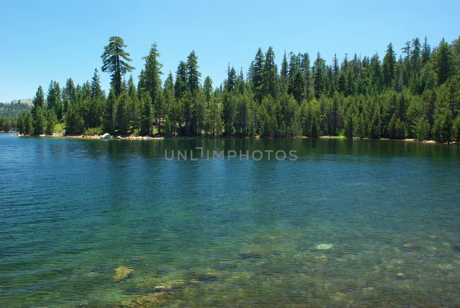 Clear blue Sierra lake in summertime