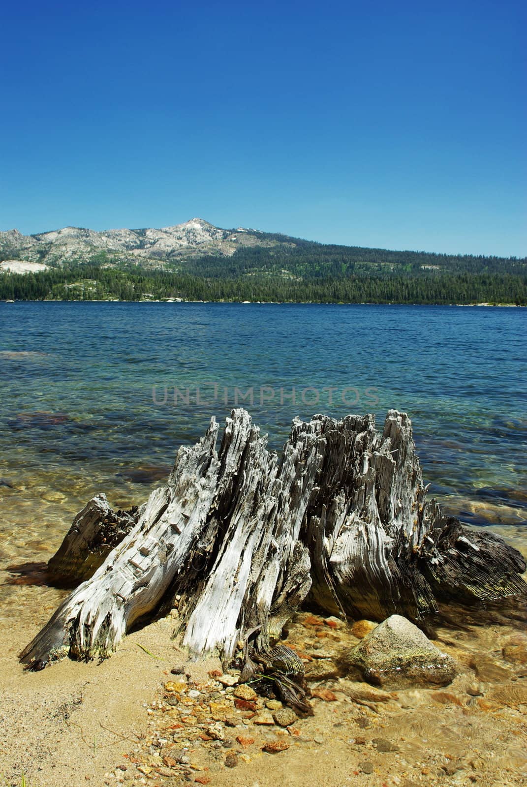 Clear blue Sierra lake in summertime