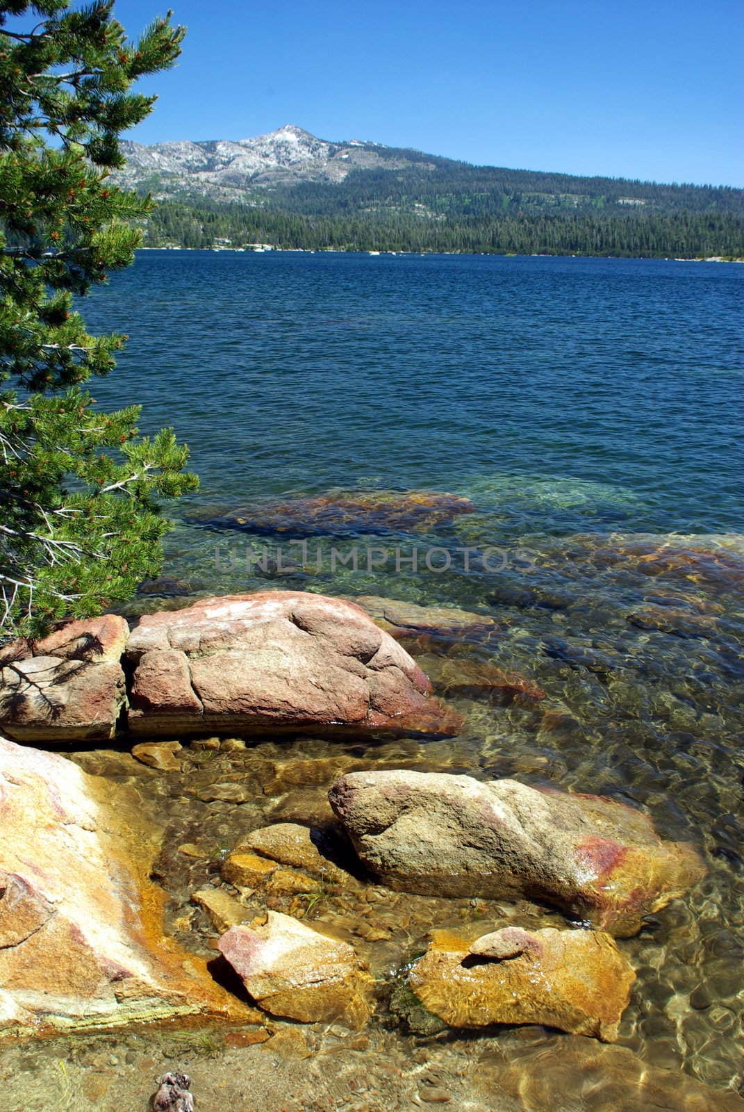 Clear blue Sierra lake in summertime