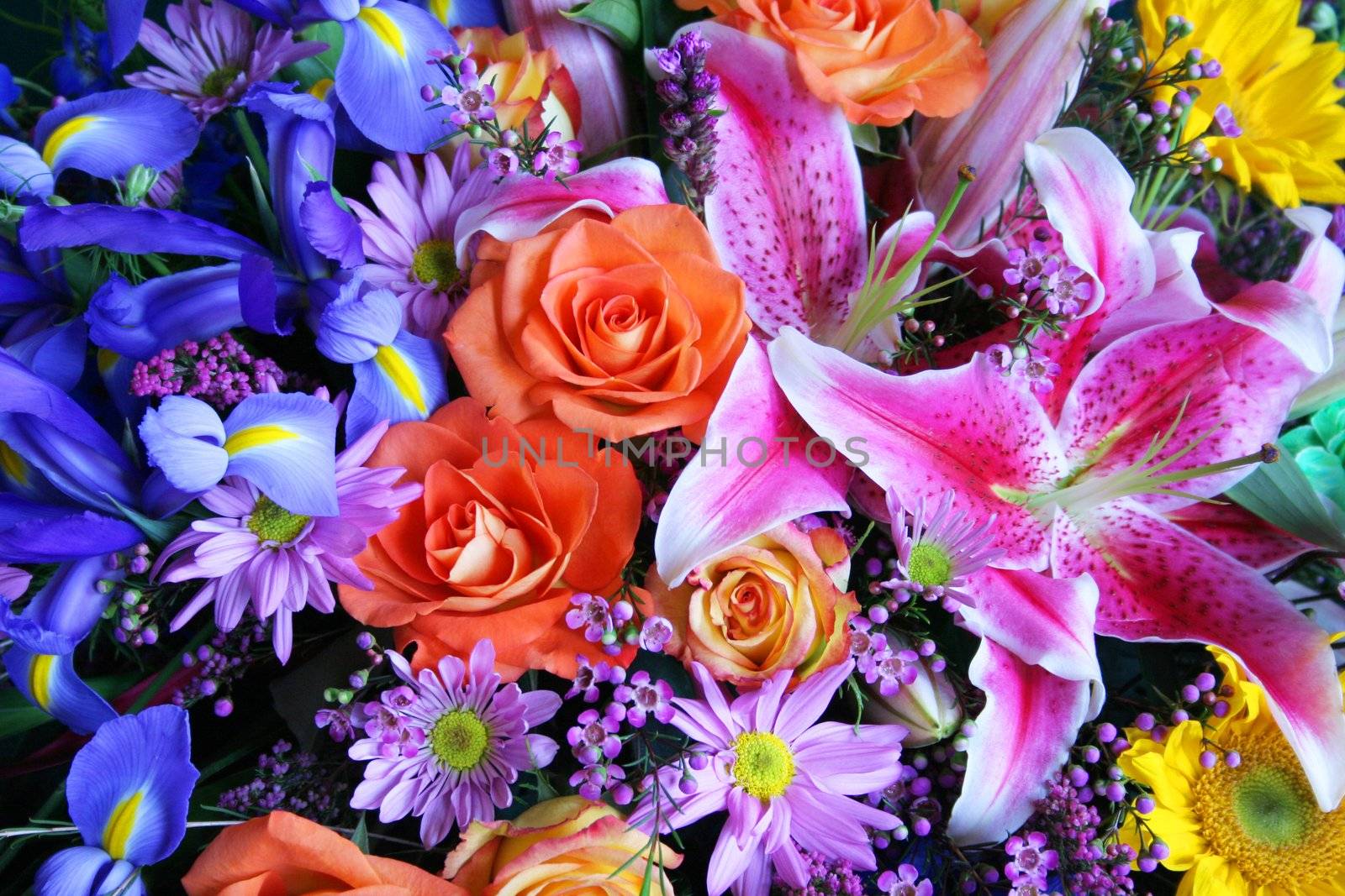 Bouquet of vibrant flowers by jarenwicklund