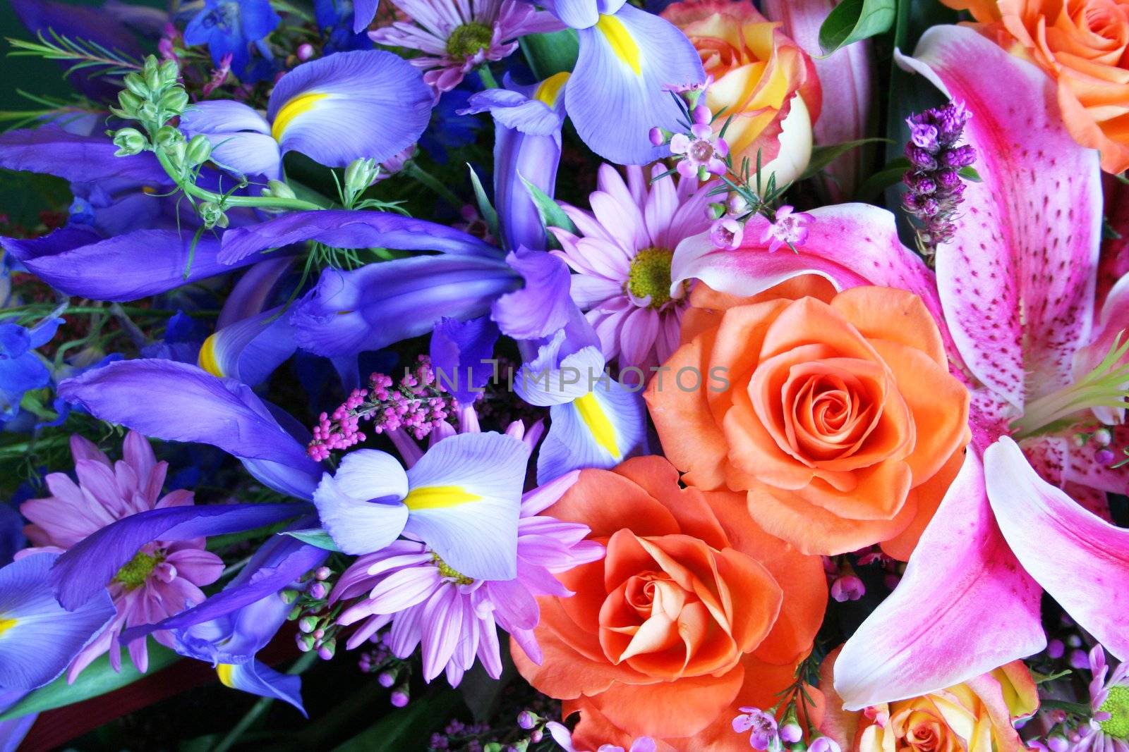 Bouquet of vibrant flowers