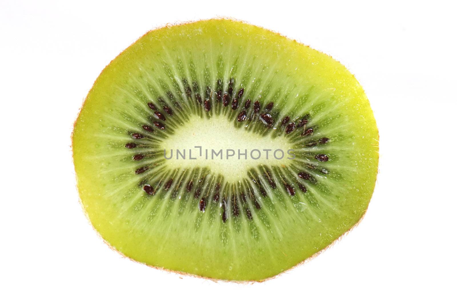 Kiwi isolated on white background