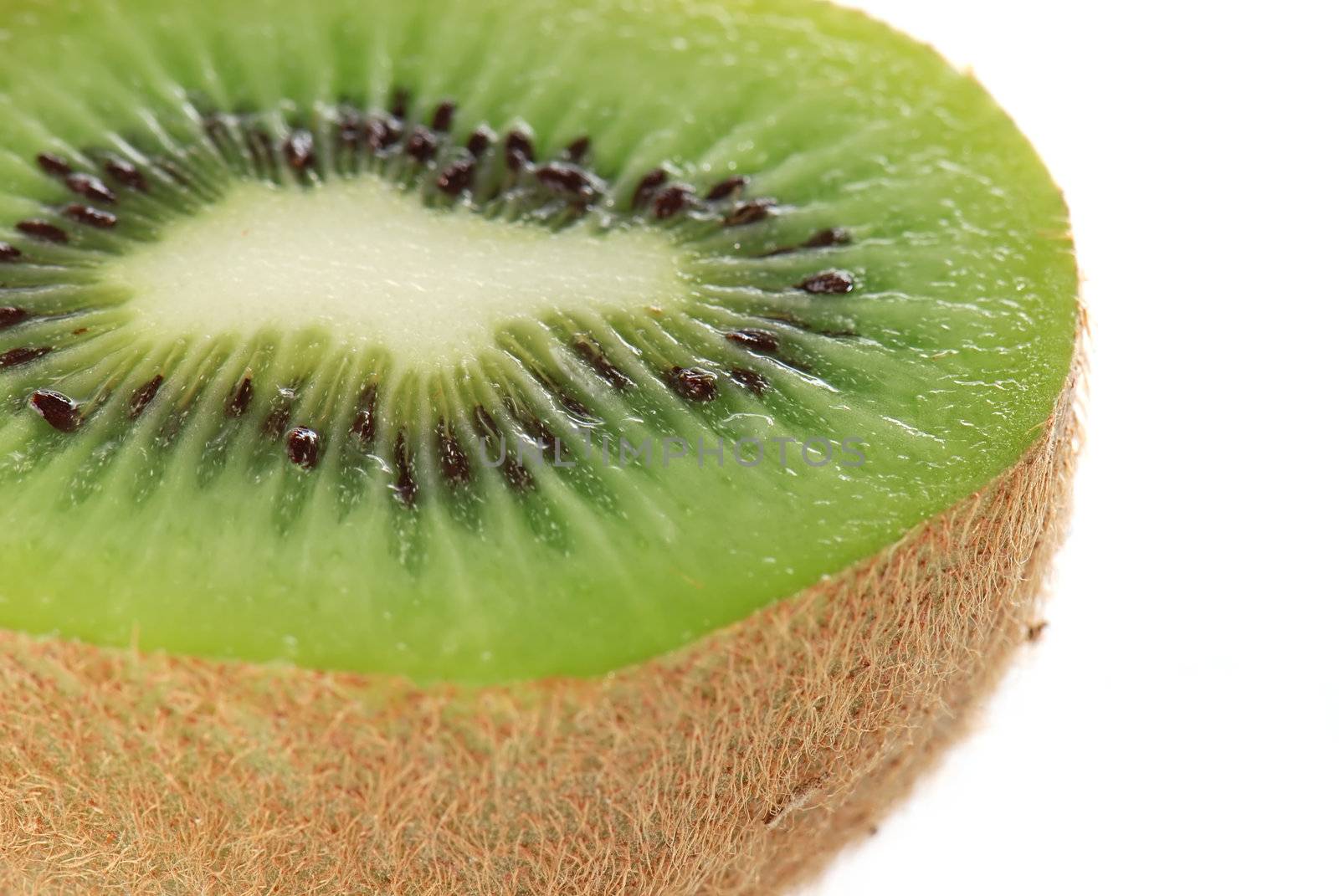 Kiwi in close-up