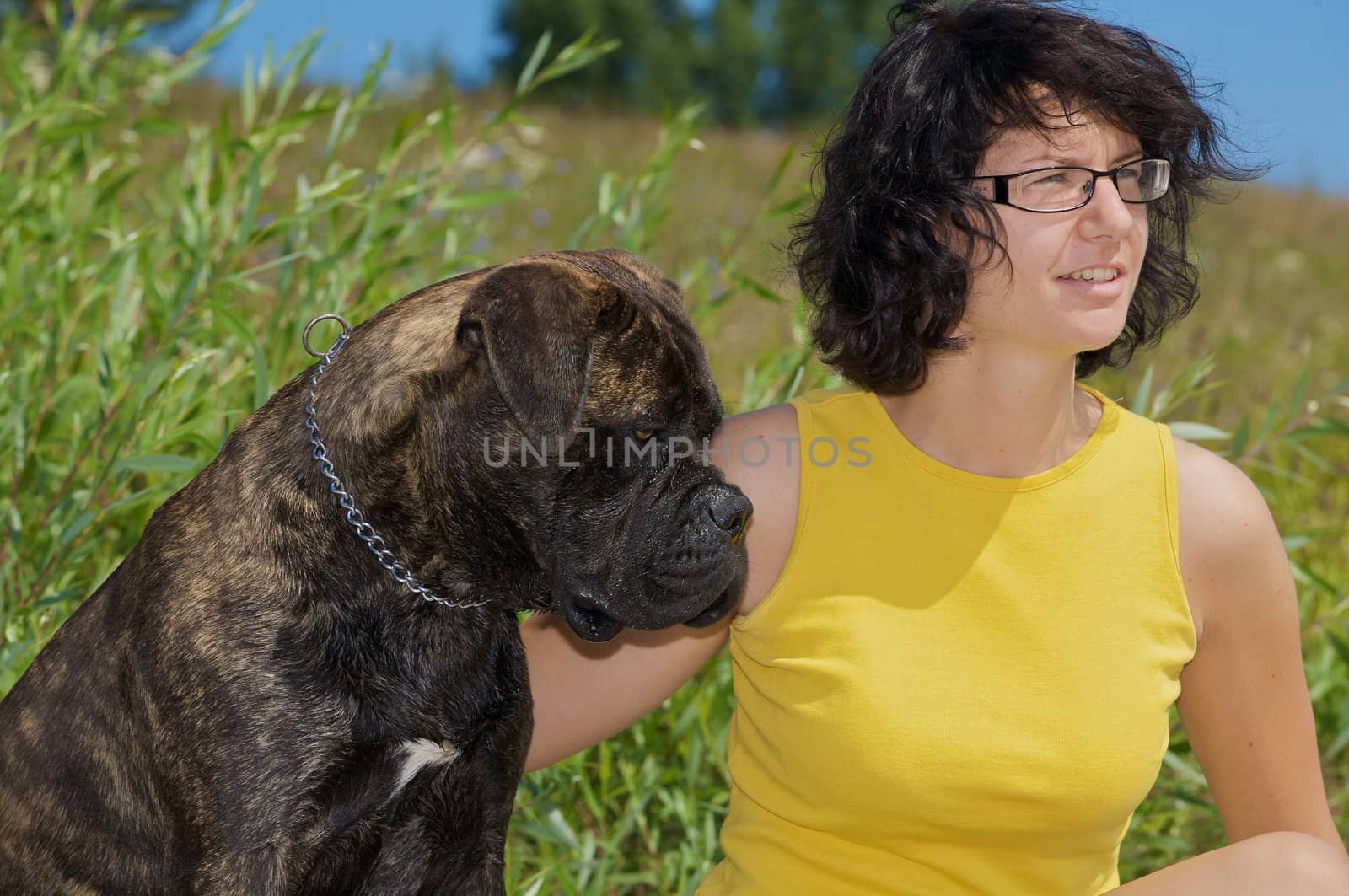 A bullmastiff with his mine host.