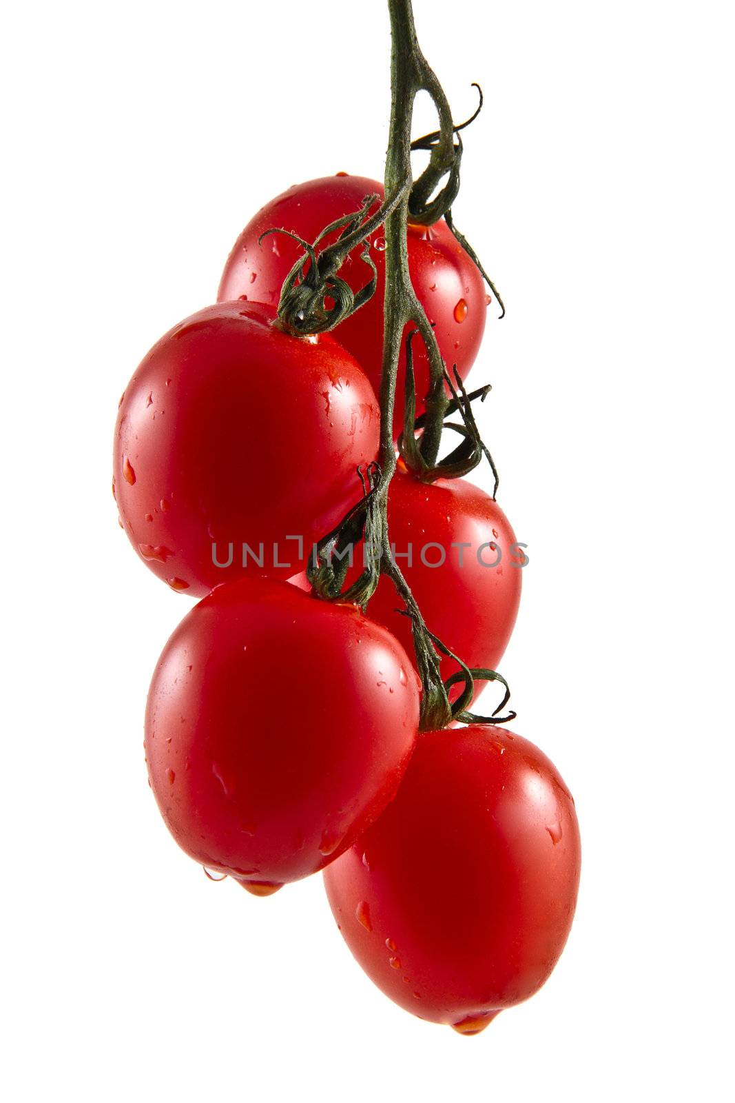 Hanging truss of five fresh vine tomatoes isolated on white background