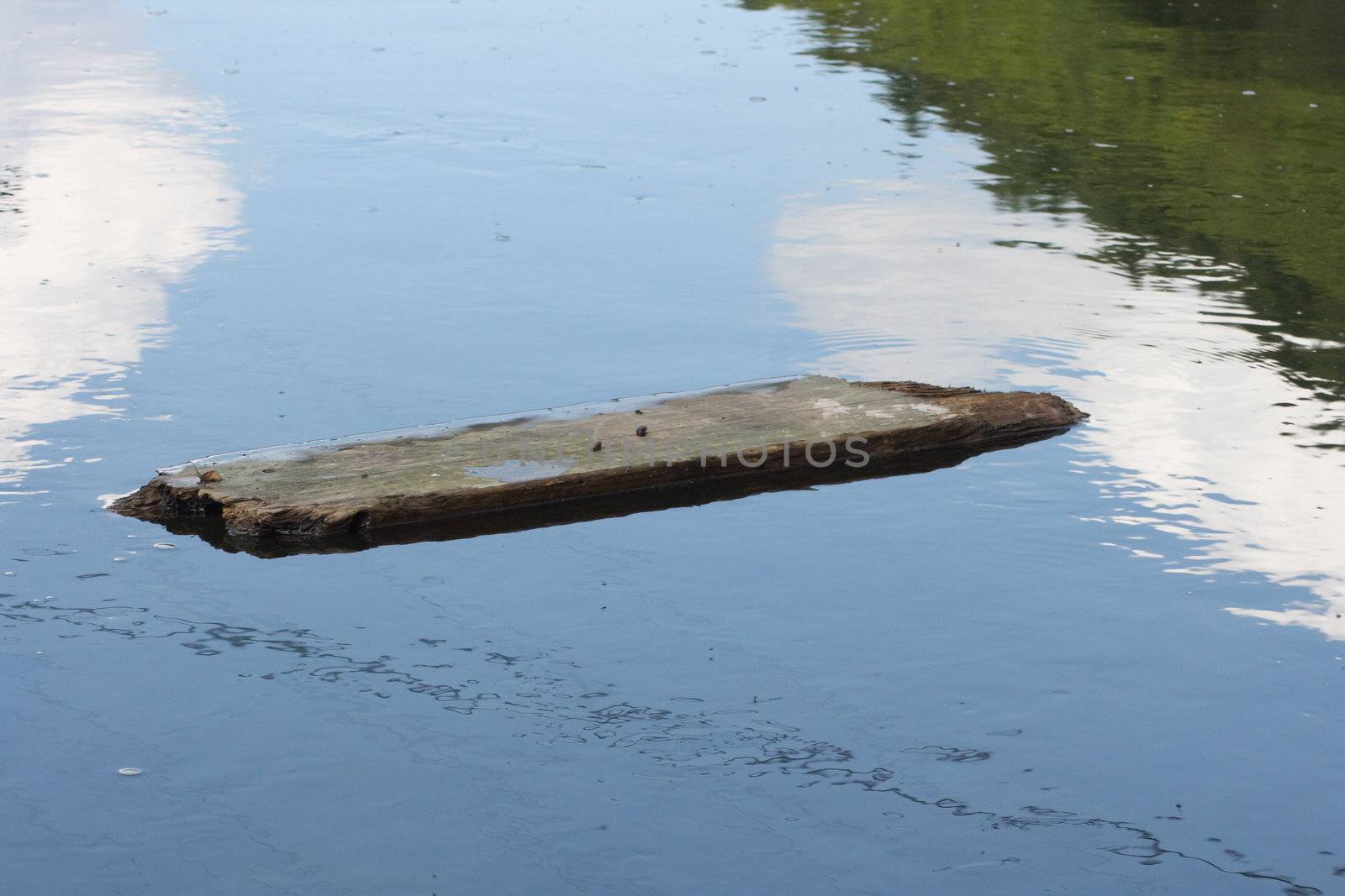 Treibholz schwimmt auf einen kleinen Bach stromabwärts	
Driftwood floating downstream on a small stream