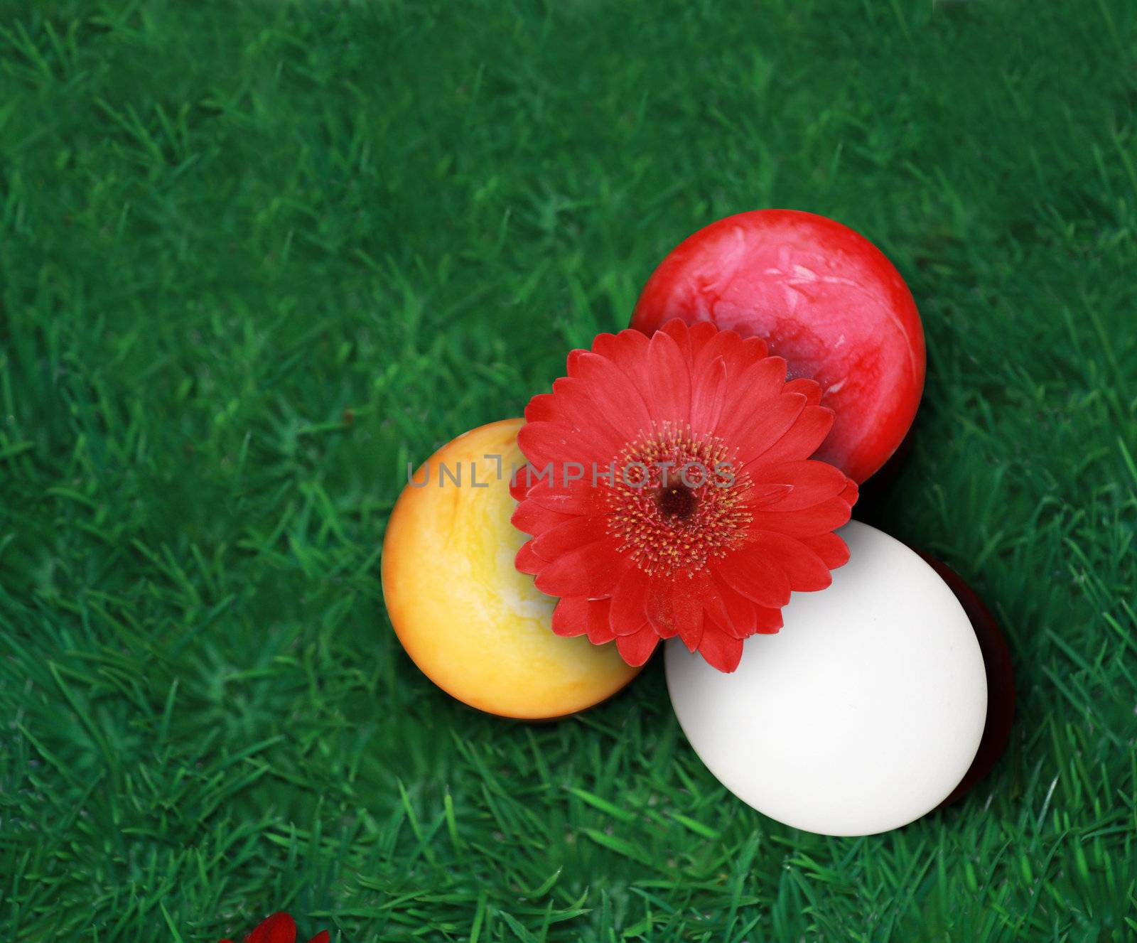 Colorful Easter eggs on green grass  by photochecker