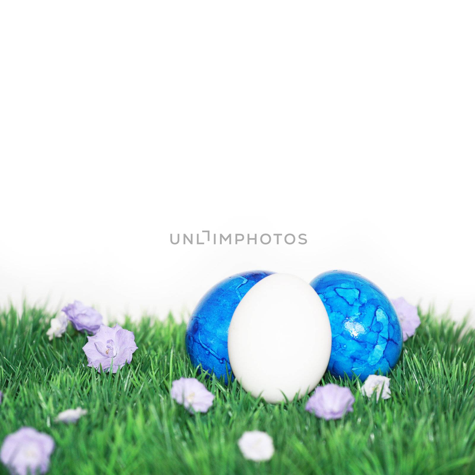 white egg in the foreground  by photochecker