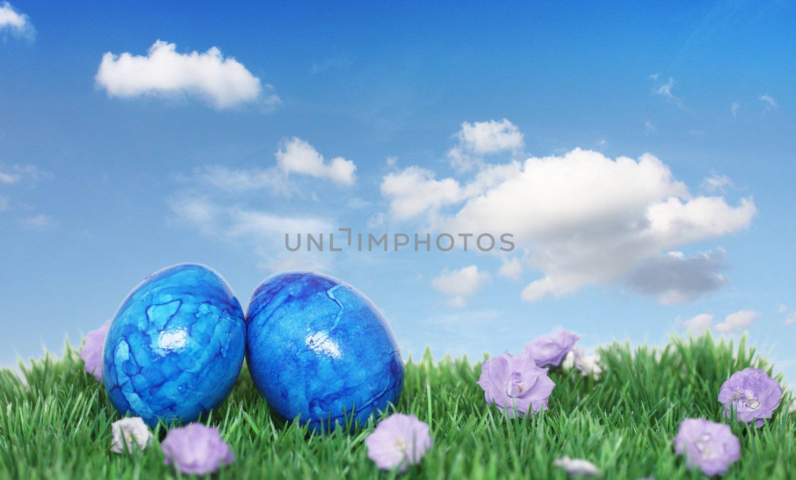 Decoration with blue eggs  by photochecker