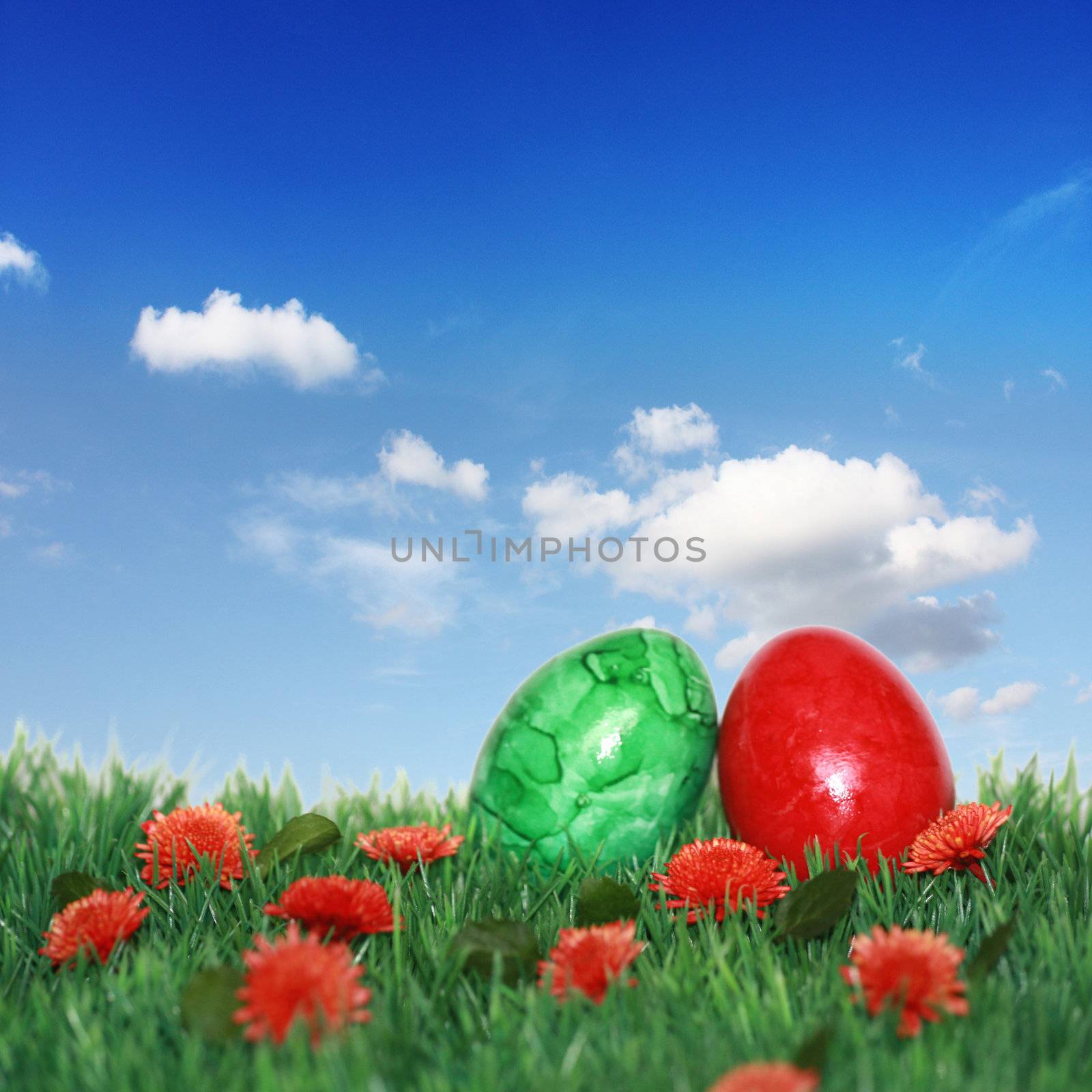 colored eggs on the green meadow  by photochecker