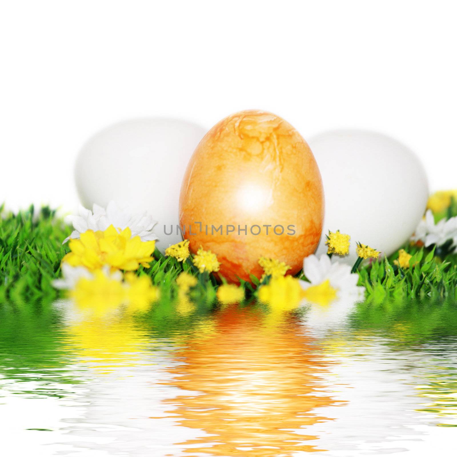 Decoration for Easter  by photochecker