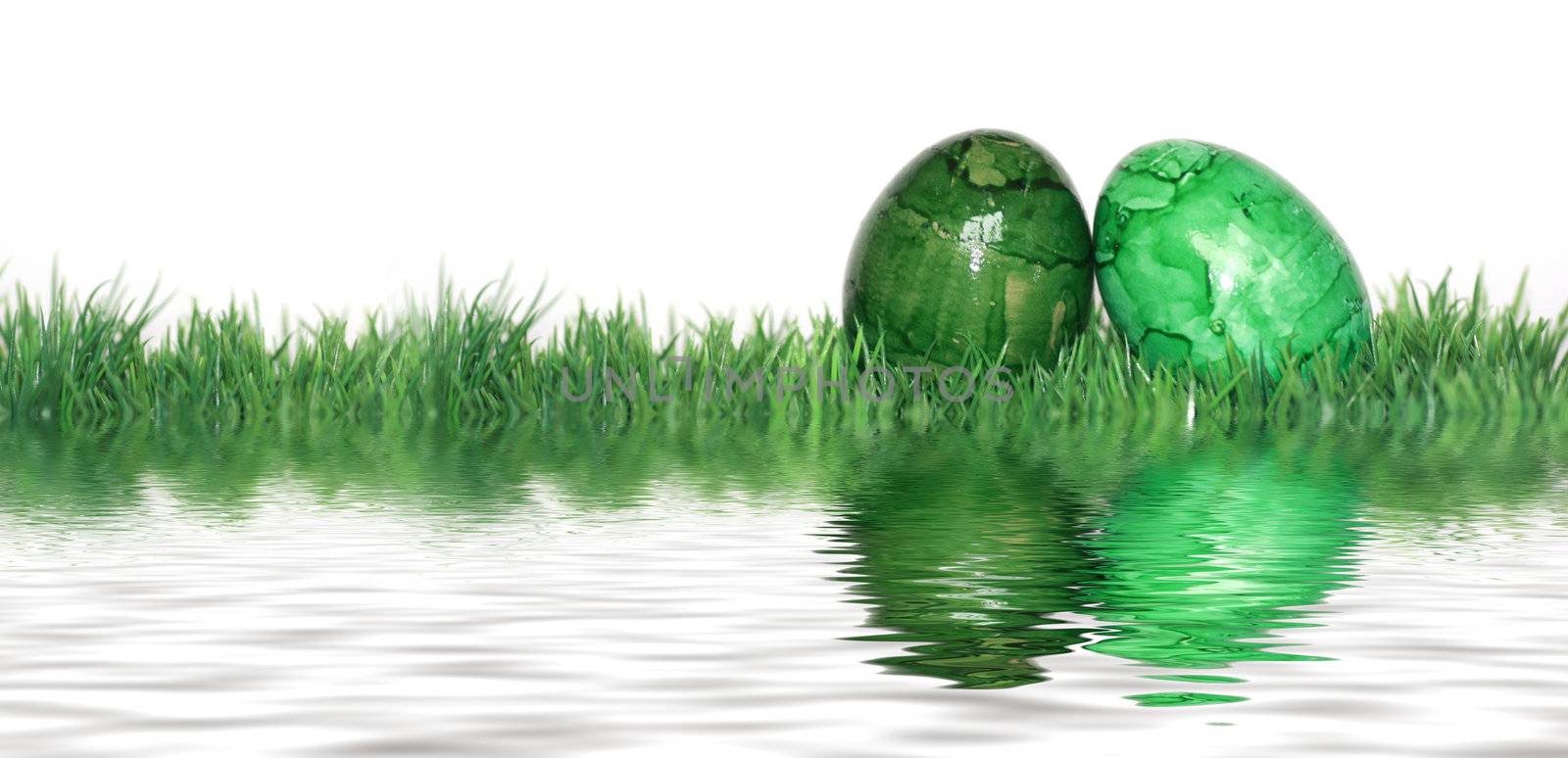 Green eggs mirrored  by photochecker