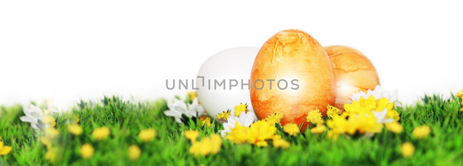 Yellow Easter Banner  by photochecker