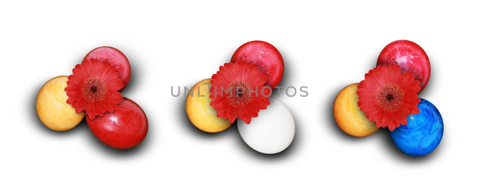 Gerbera and Easter Eggs  by photochecker
