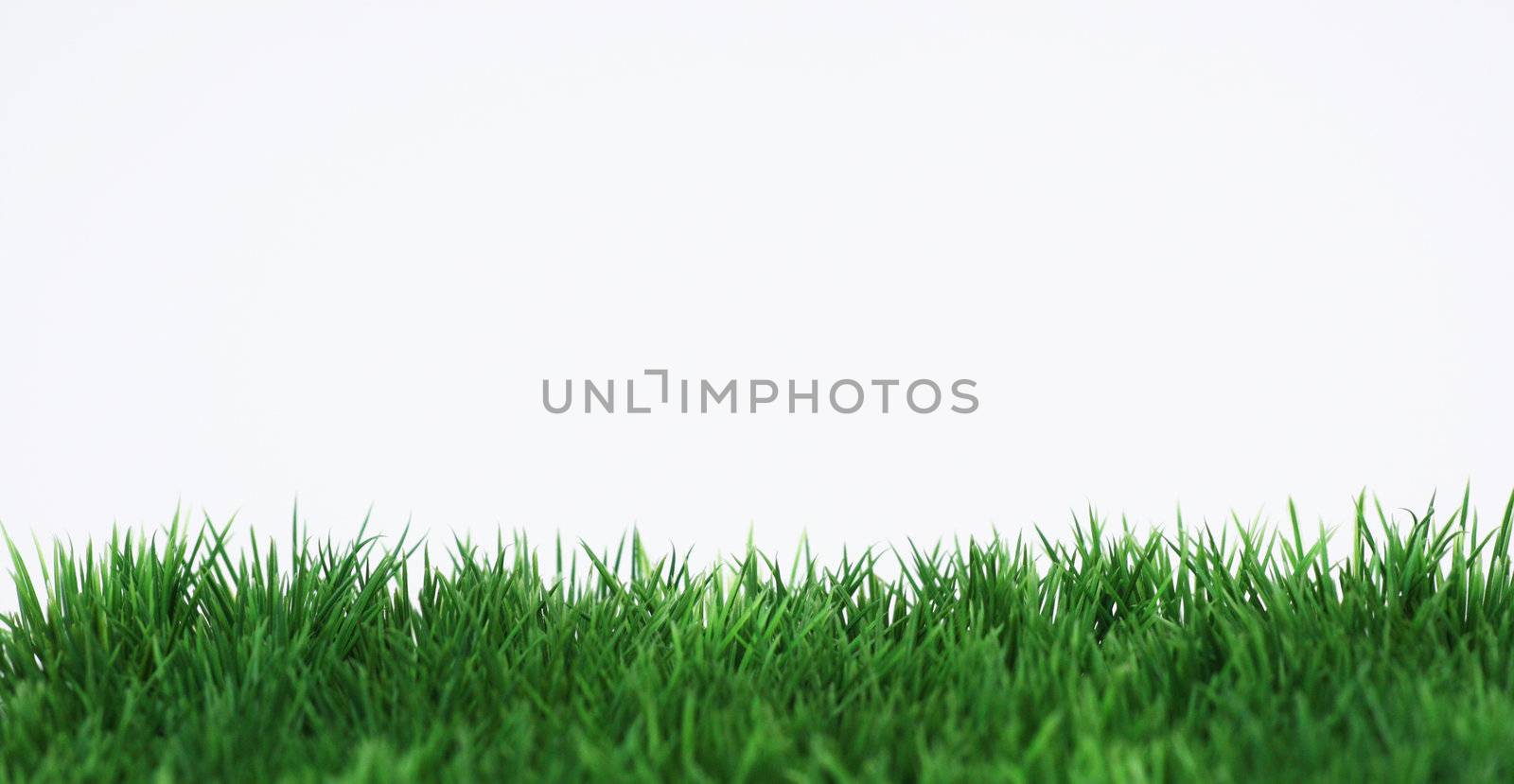 Green field on white background