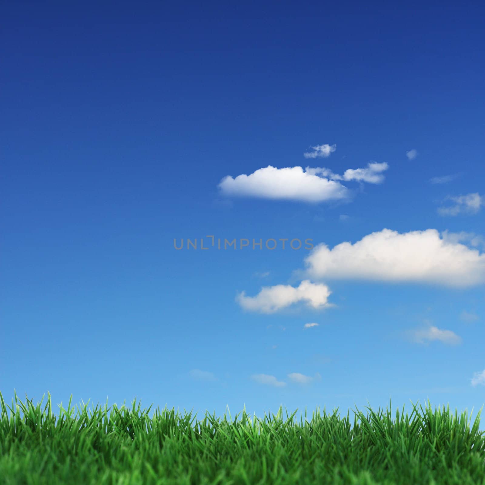 Green field and blue clouds 