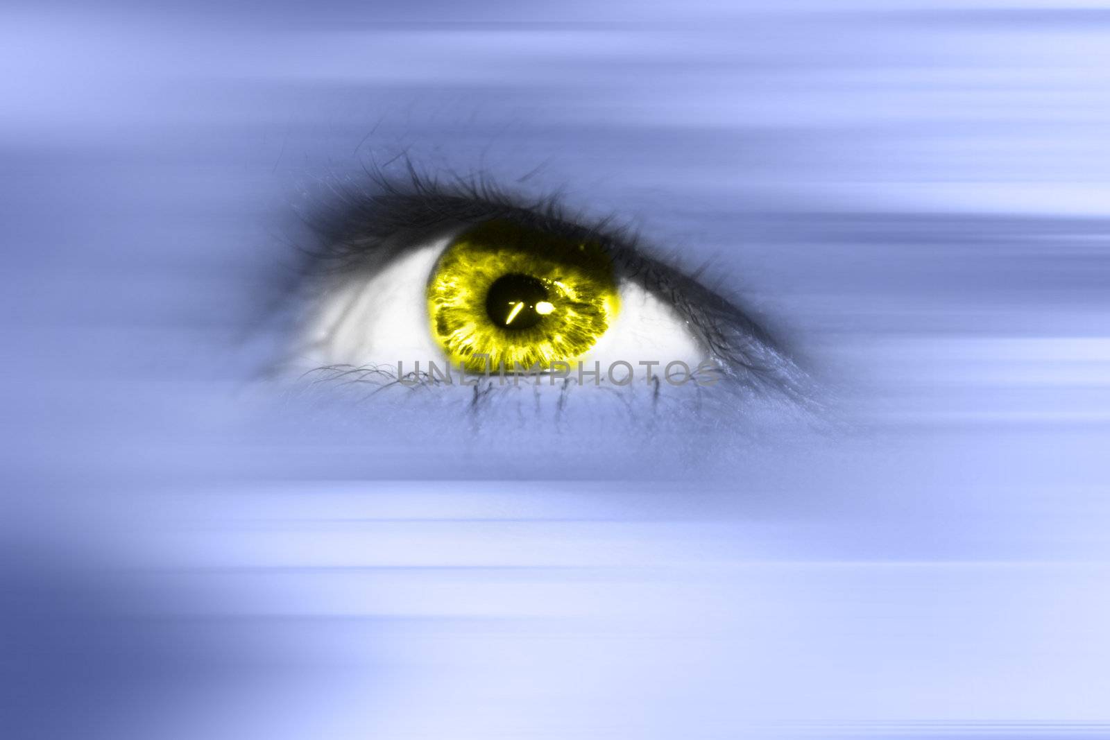 "Eye" concept  by photochecker