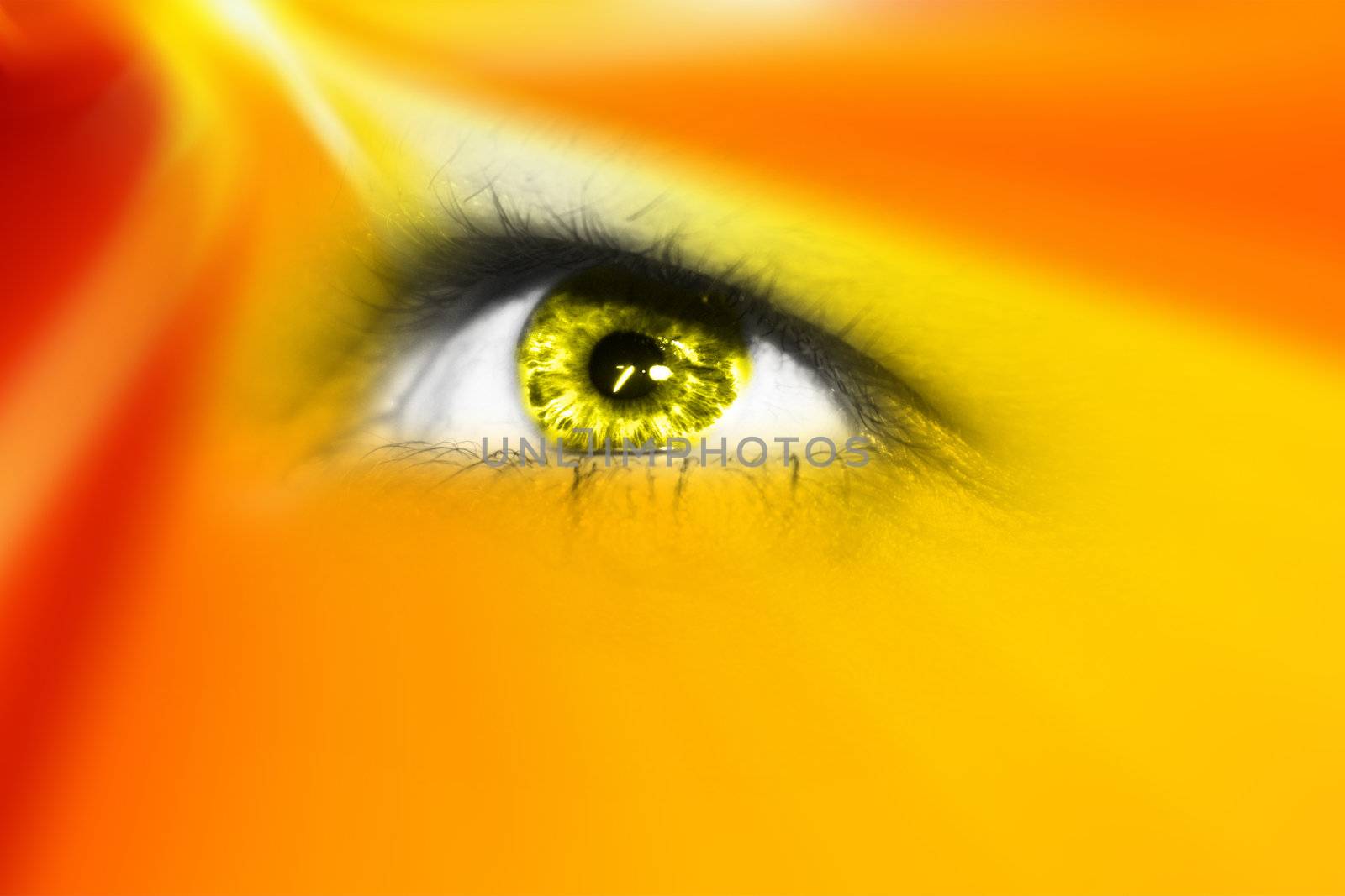 Eye background  by photochecker