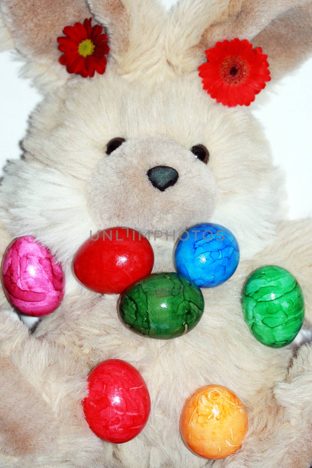 Easter bunny and colored eggs  by photochecker