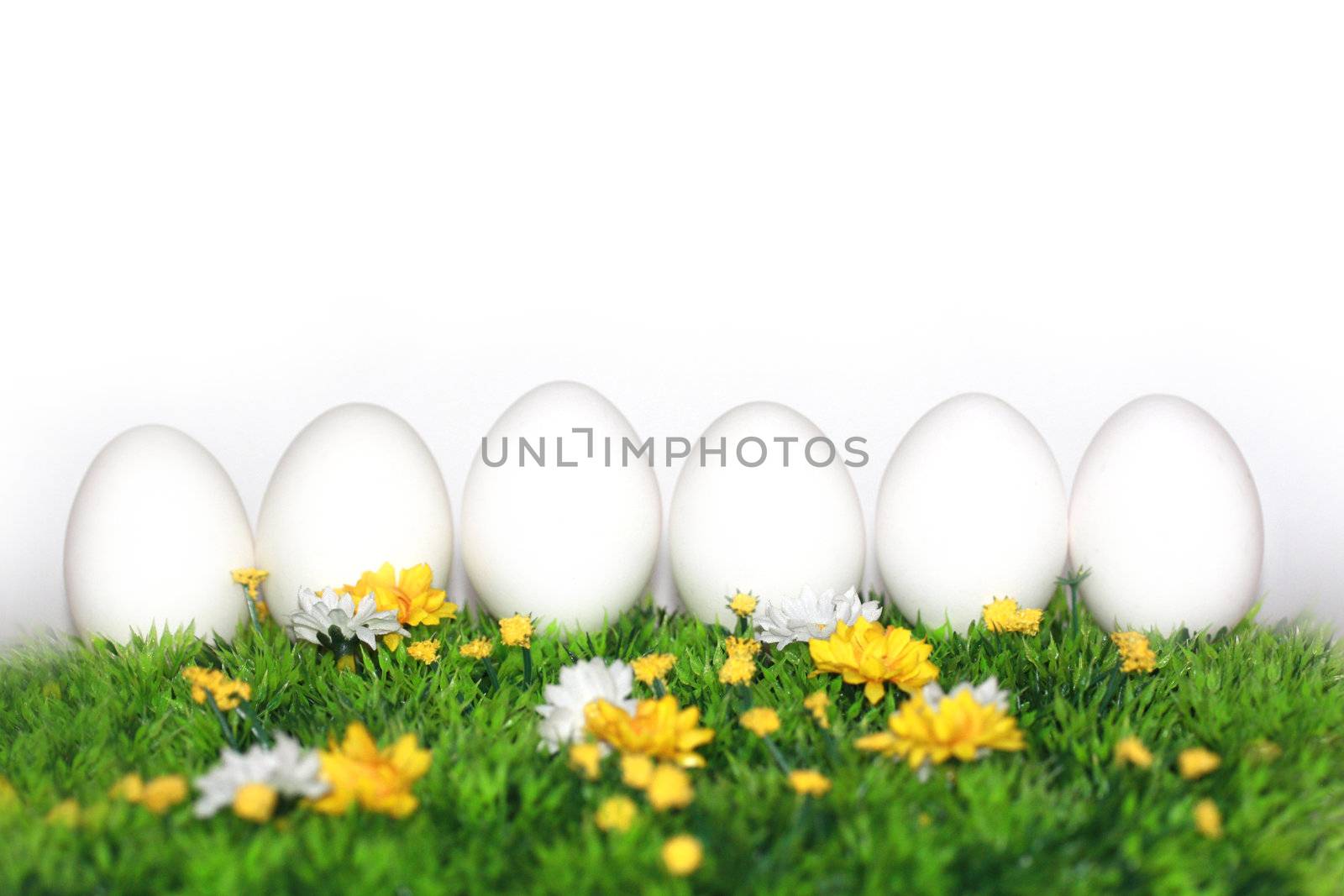 White eggs for painting  by photochecker