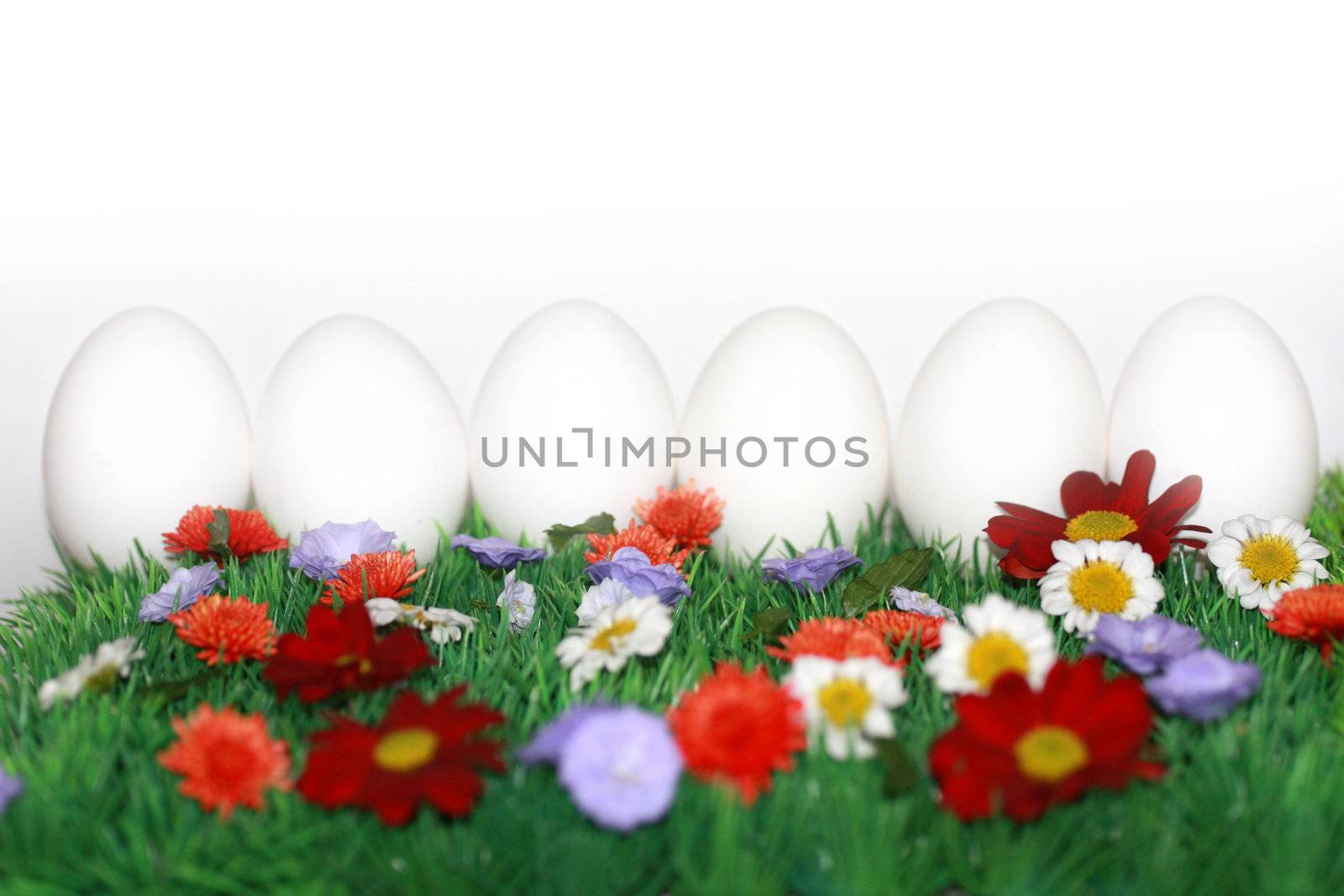 White eggs on a colorful meadow  by photochecker