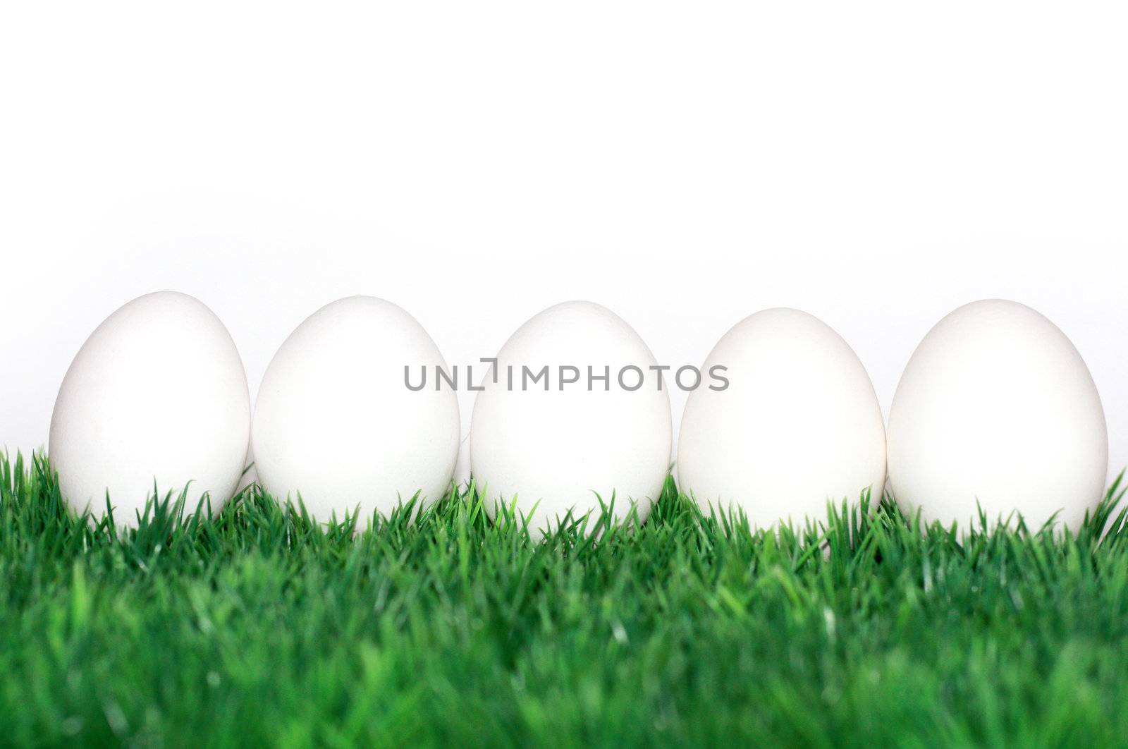 White eggs  by photochecker