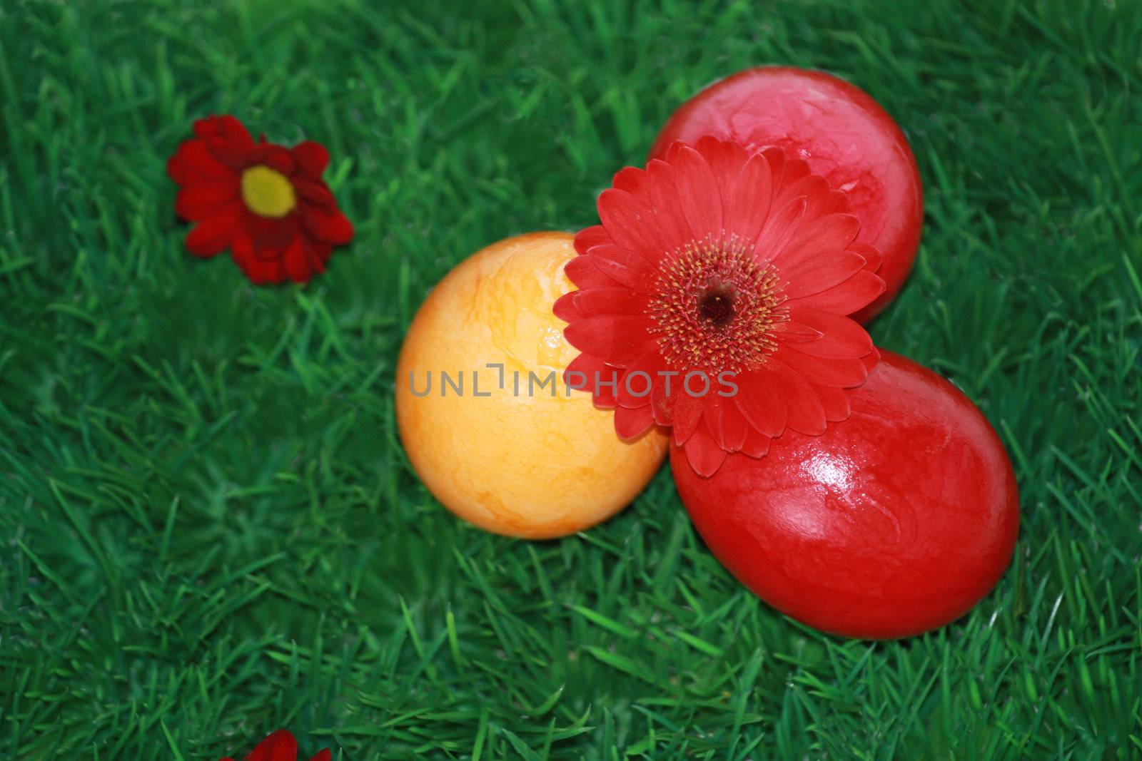 Easter eggs with red flower  by photochecker