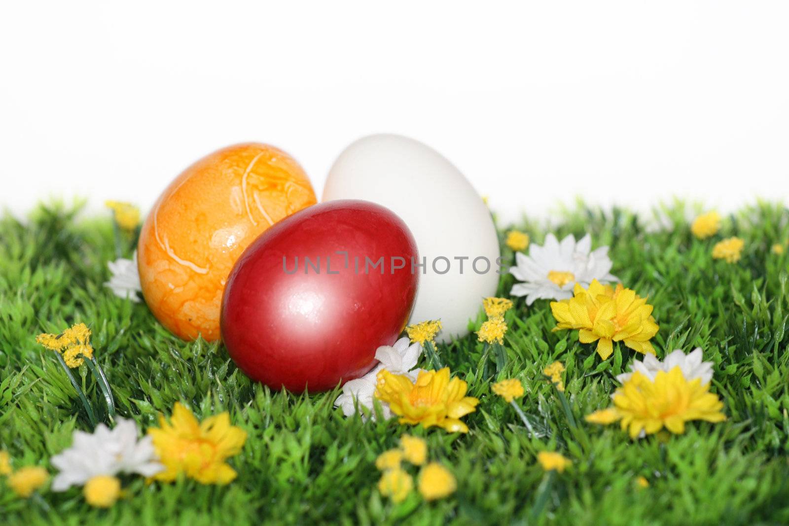 Beautiful Easter Eggs  by photochecker