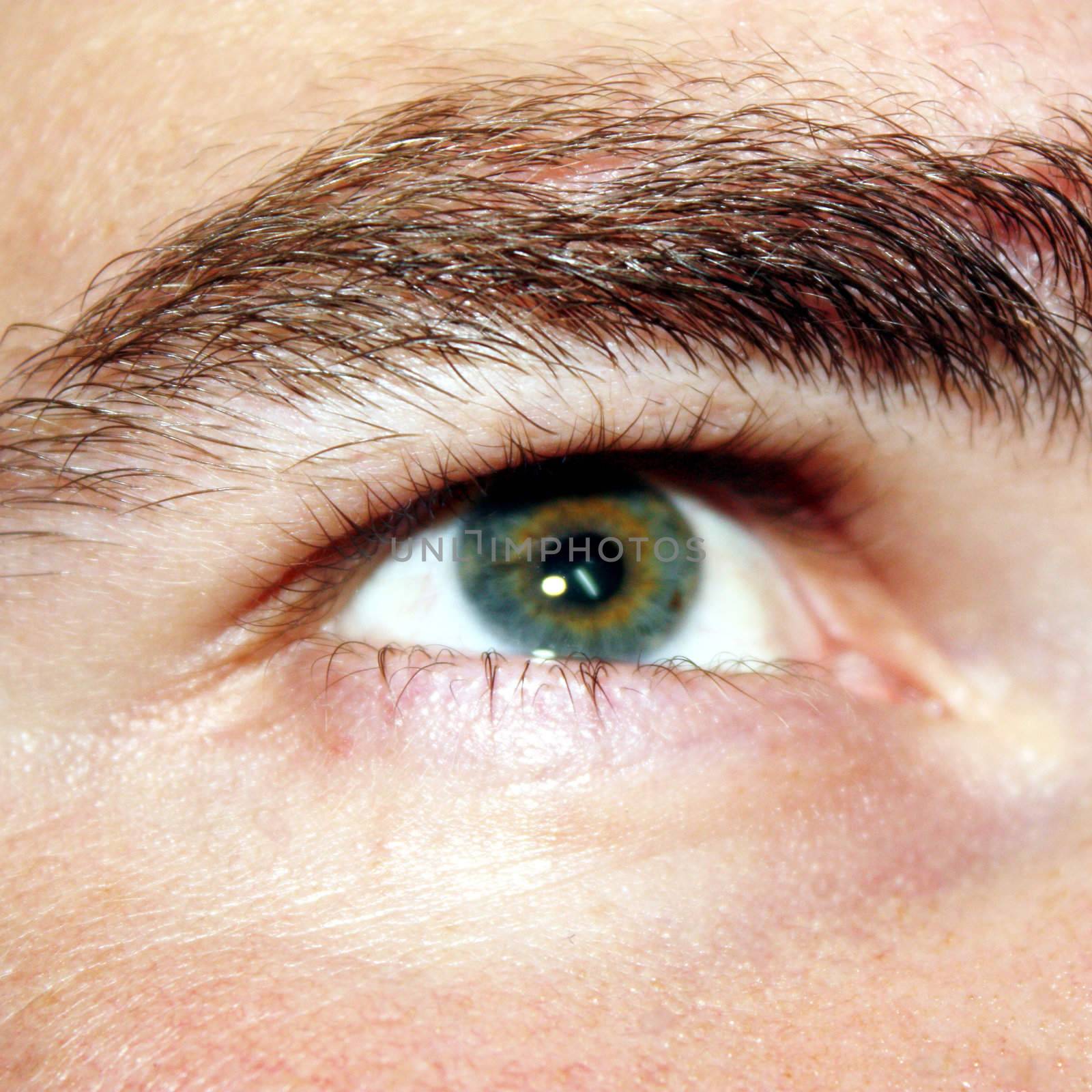Eye in Focus  by photochecker