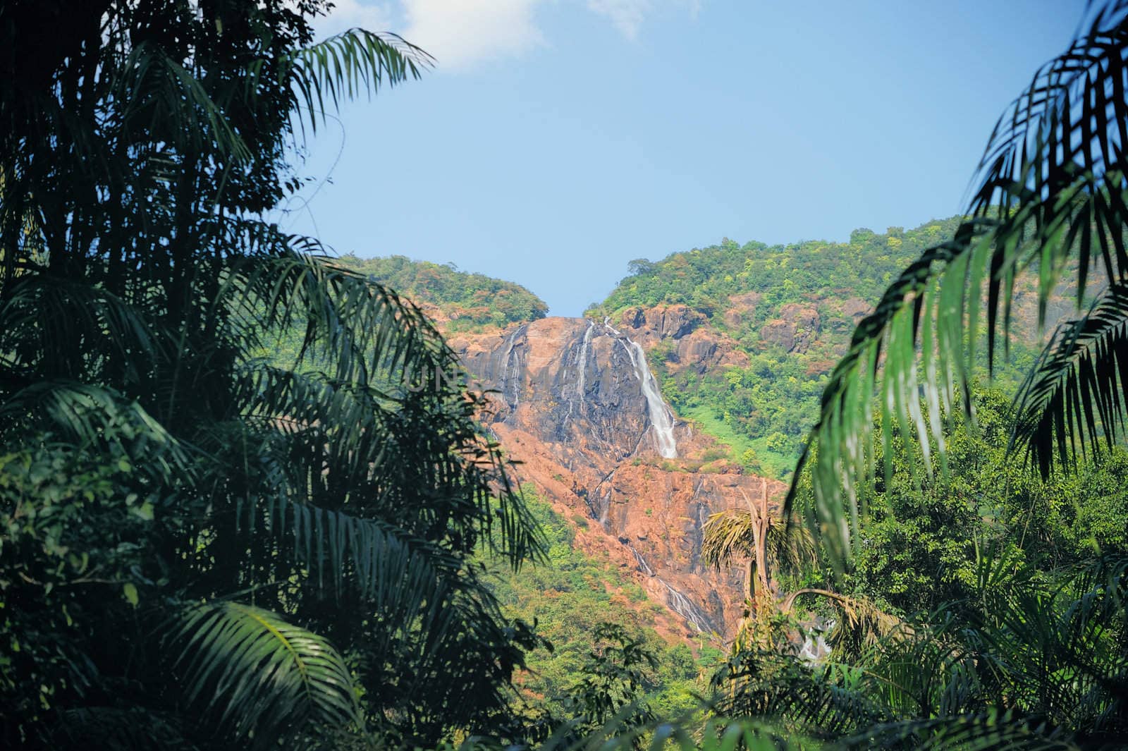 Waterfall Dudhsagar in Goa. Indian National Park