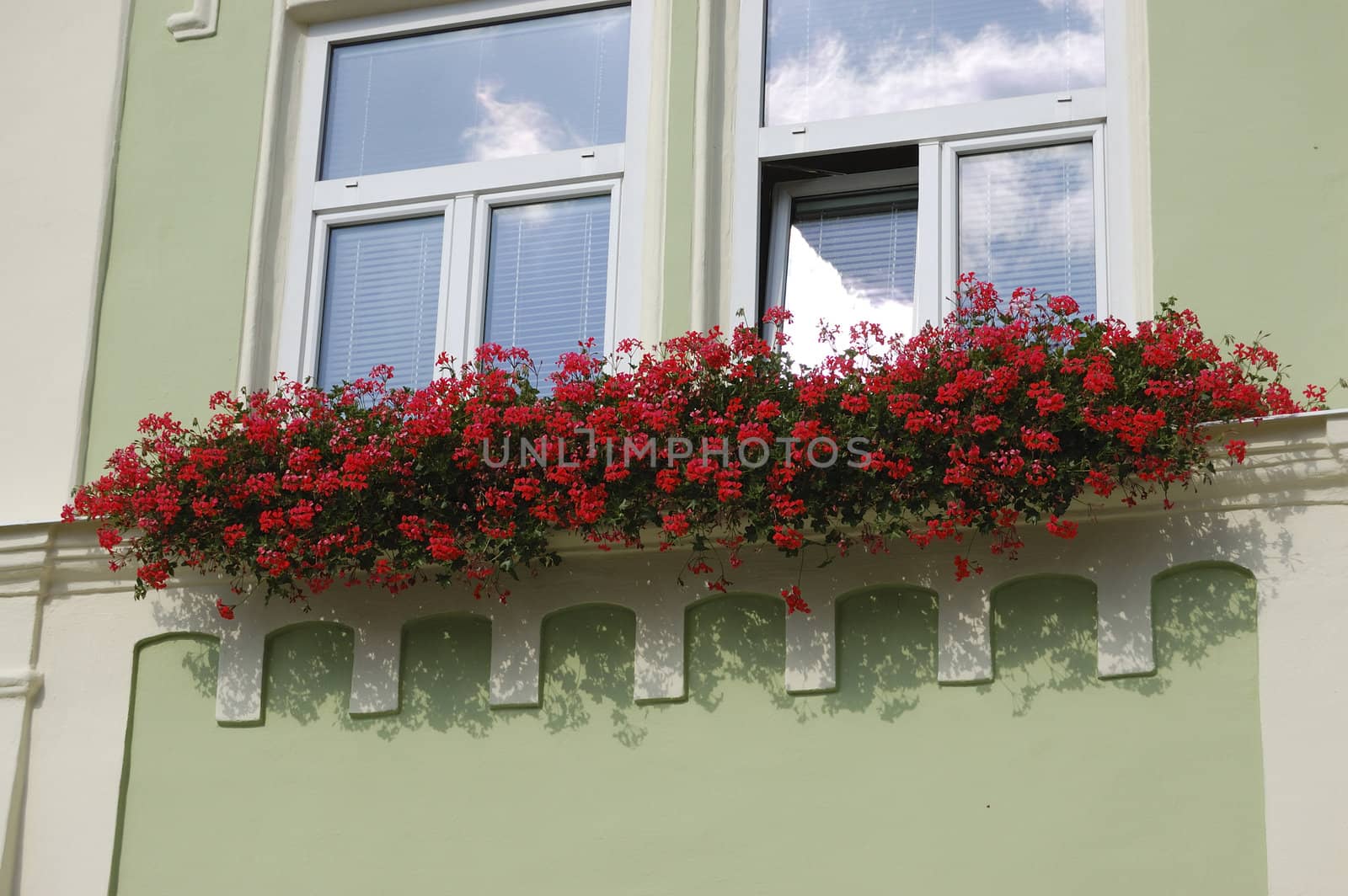 Windows with flowers